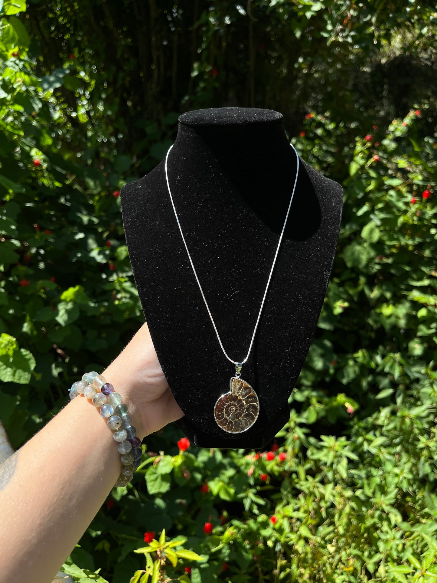 Ammonite Necklaces