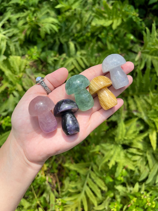 Fluorite Mushrooms