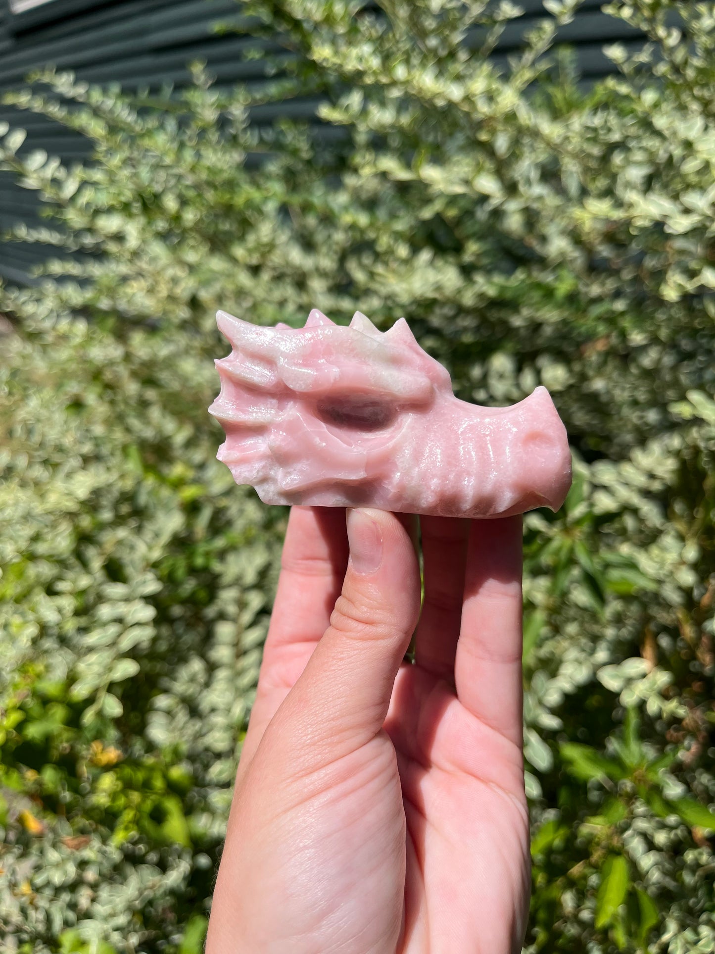 Pink Opal Dragon Head