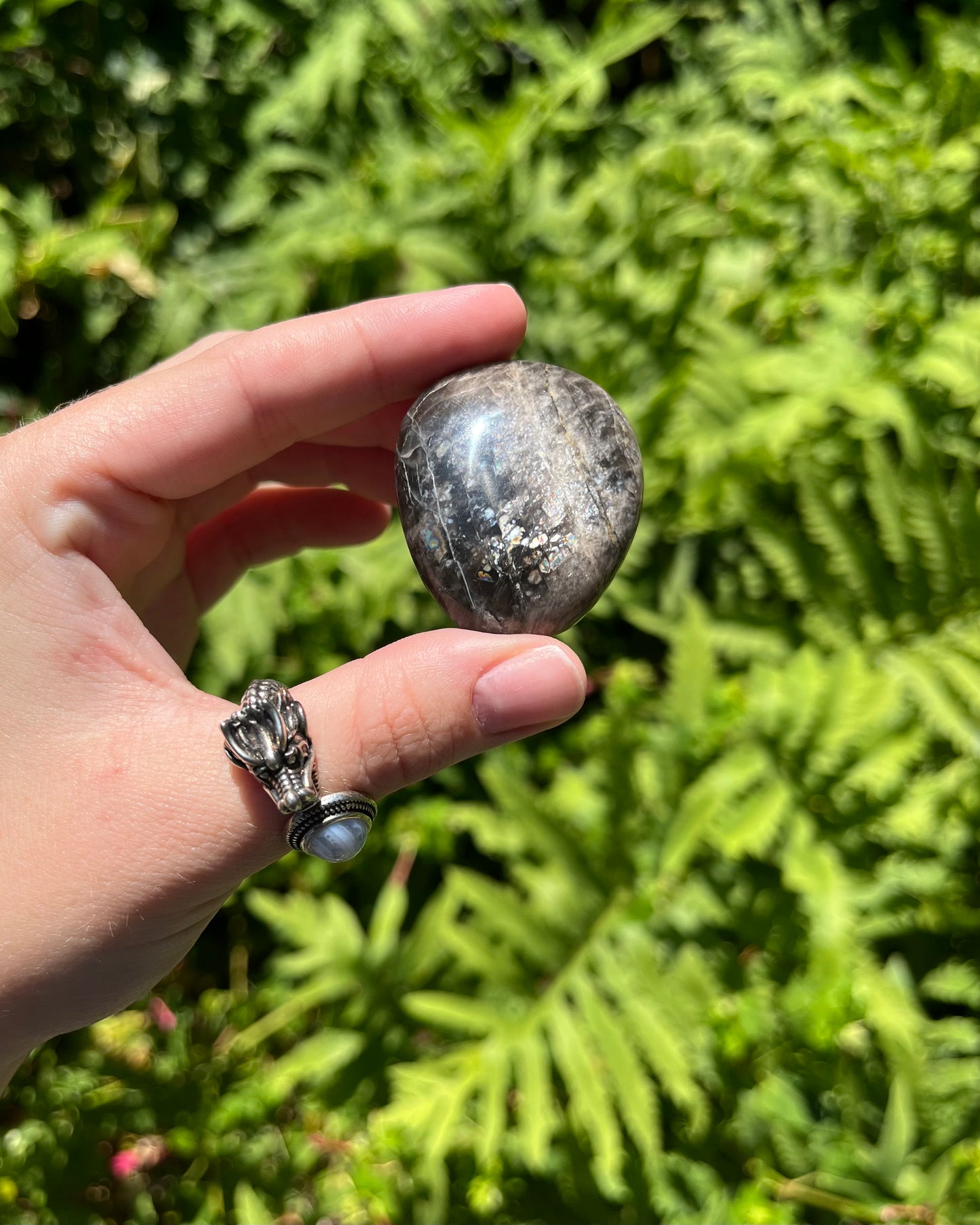 Black Moonstone Palm Stones