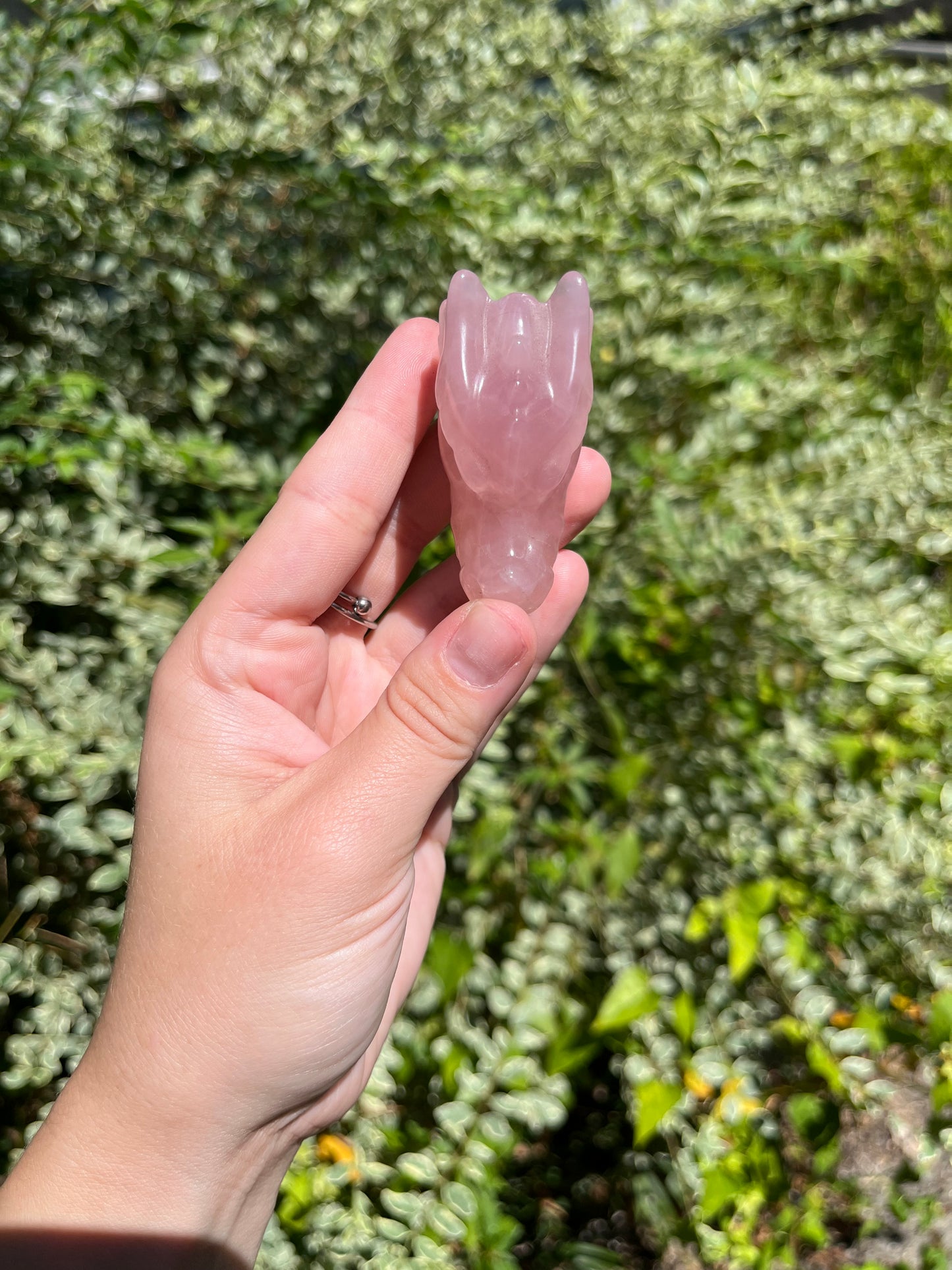 Rose Quartz Dragon Heads