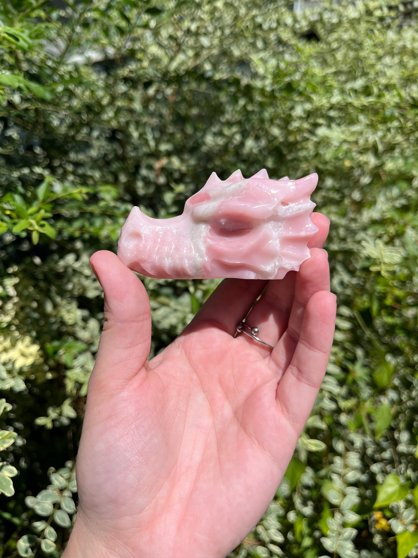 Pink Opal Dragon Head