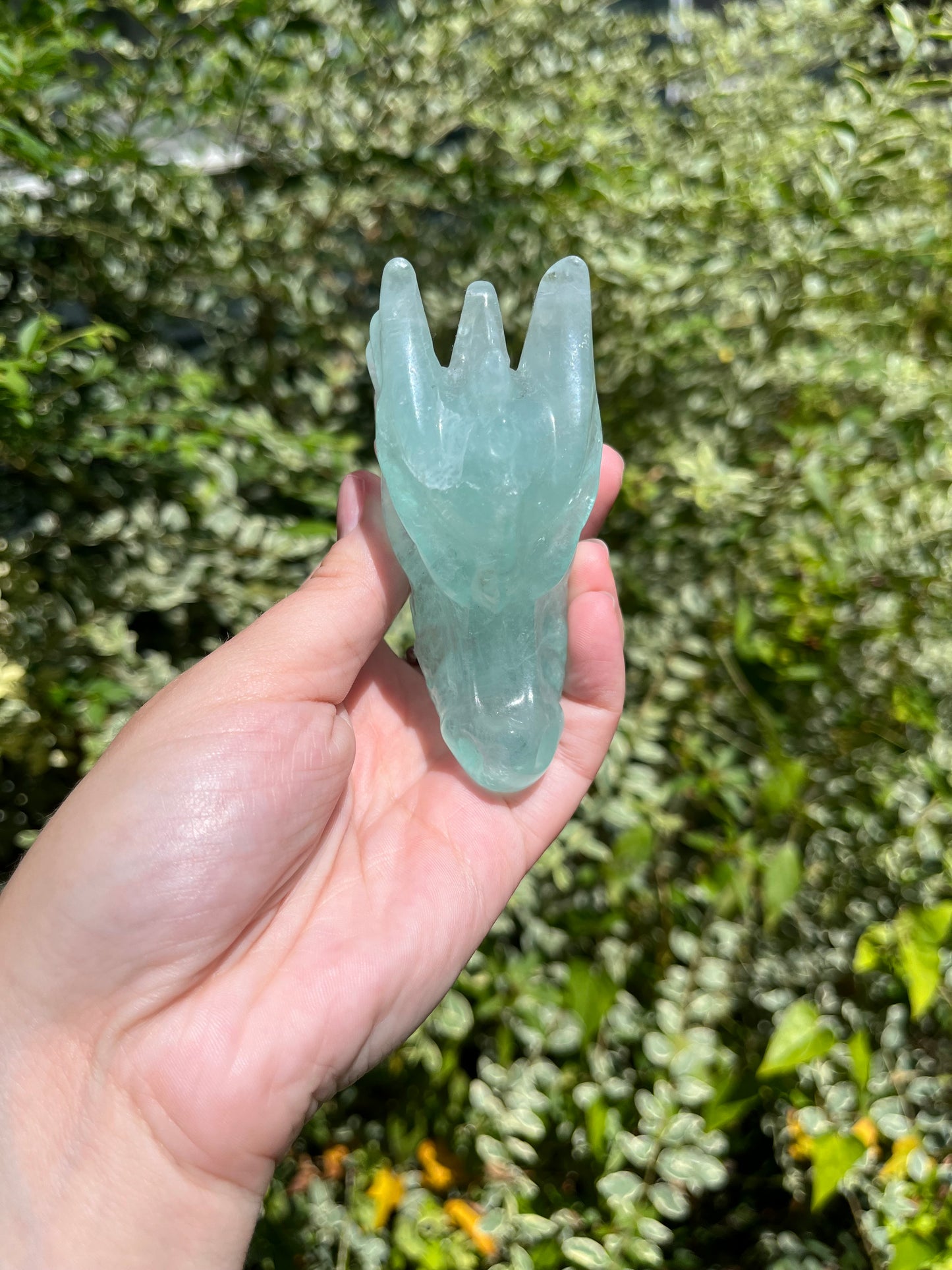 Fluorite Dragon Head