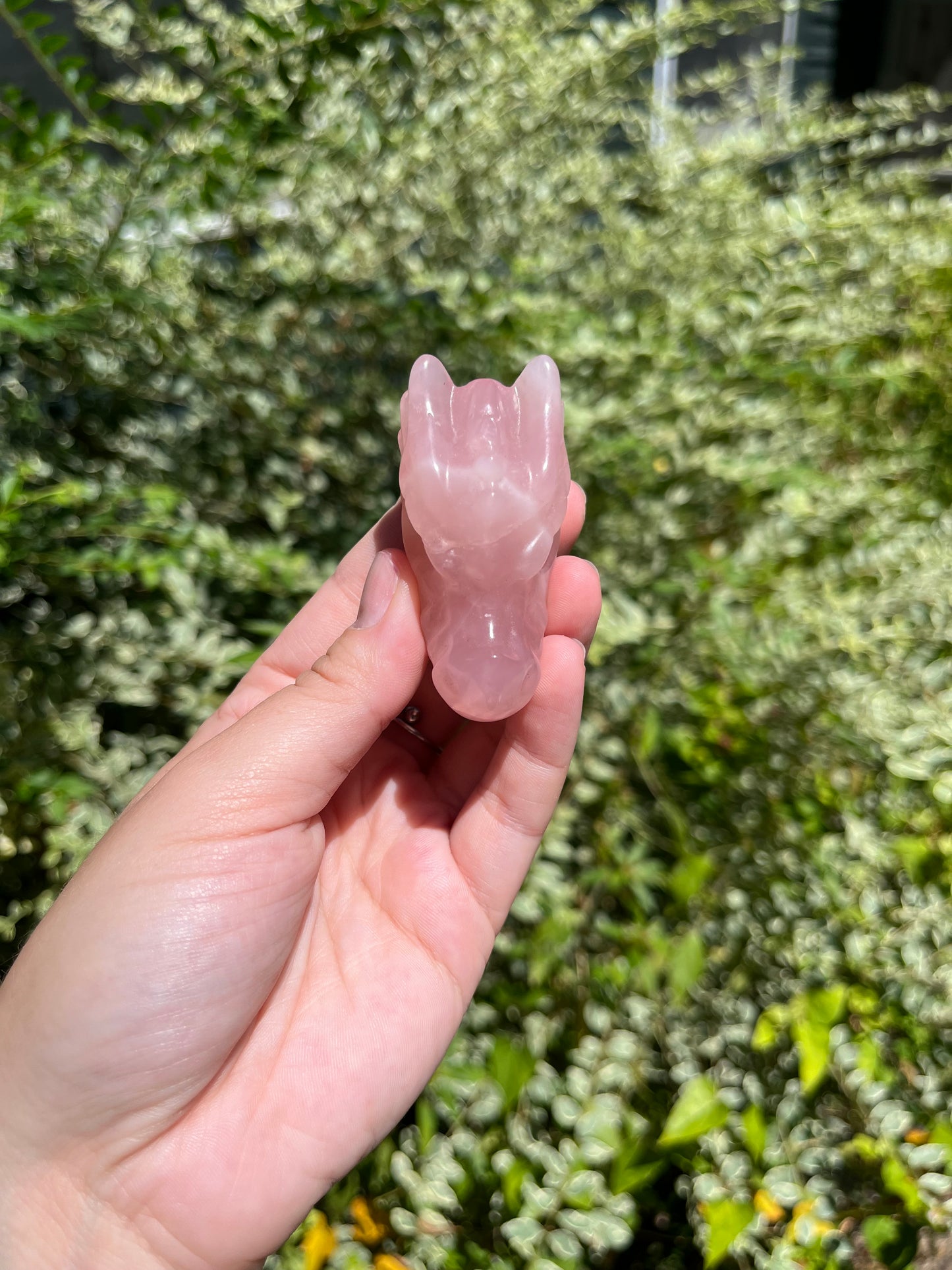 Rose Quartz Dragon Heads