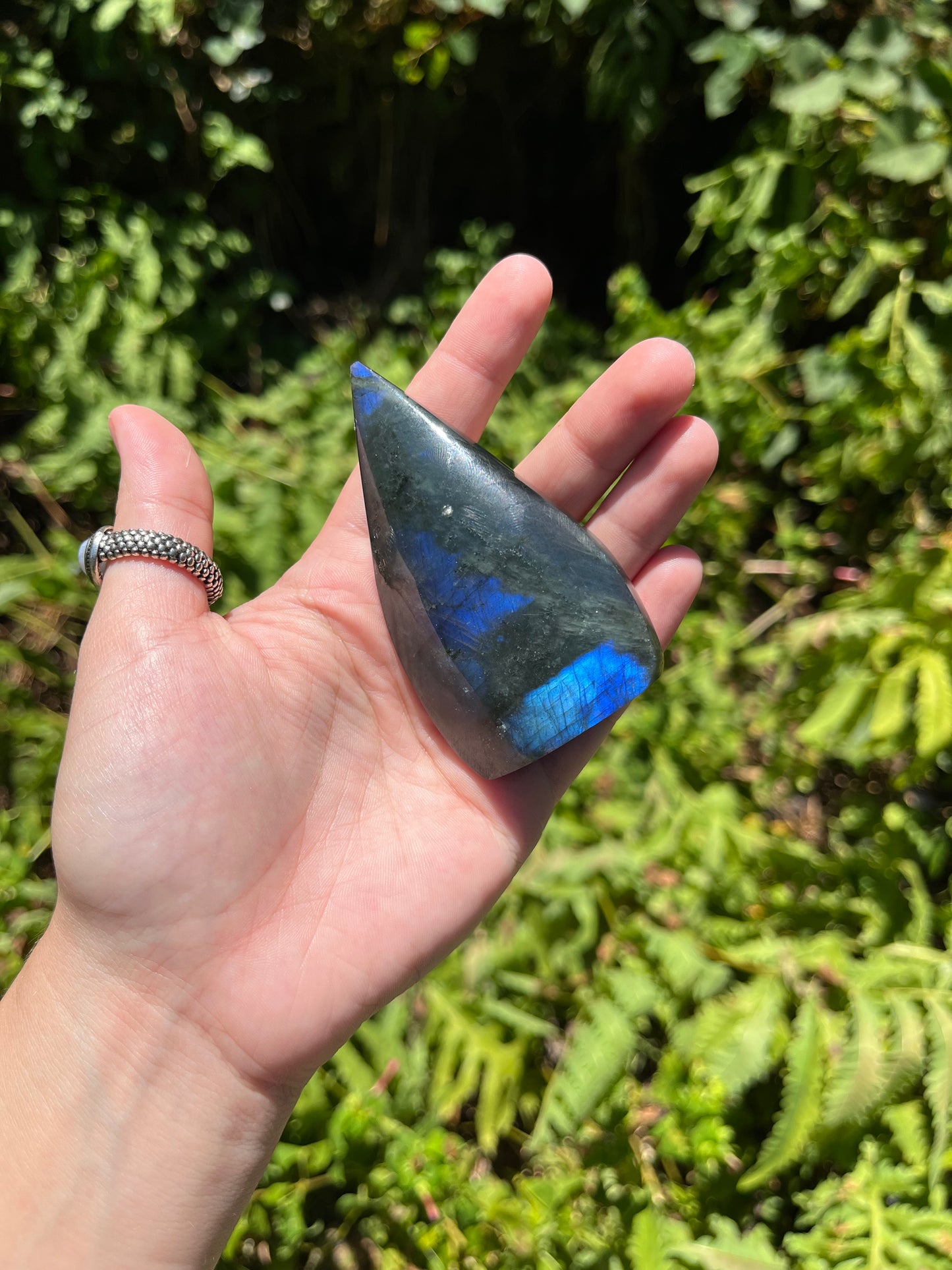 Labradorite Teardrops