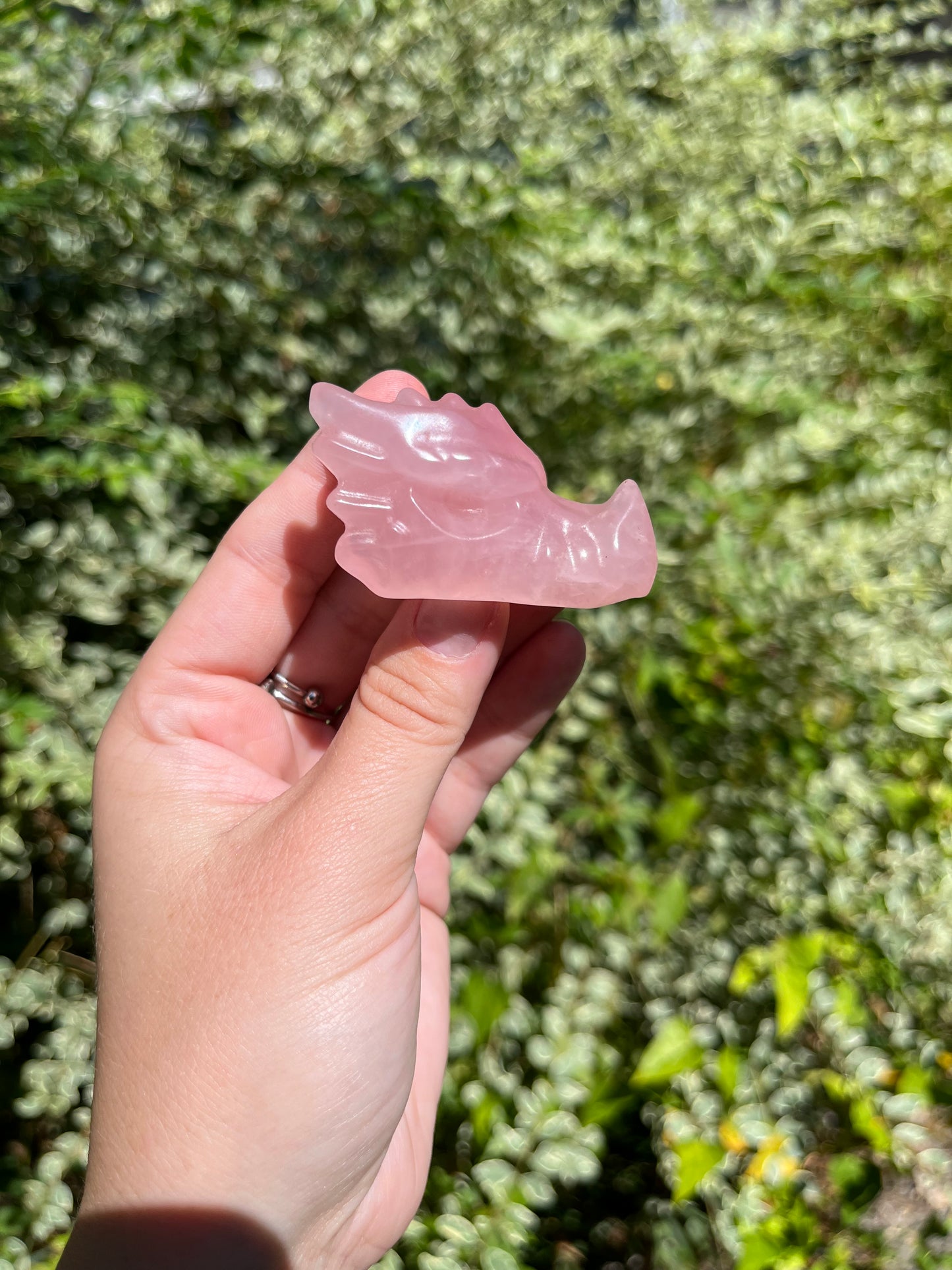 Rose Quartz Dragon Heads