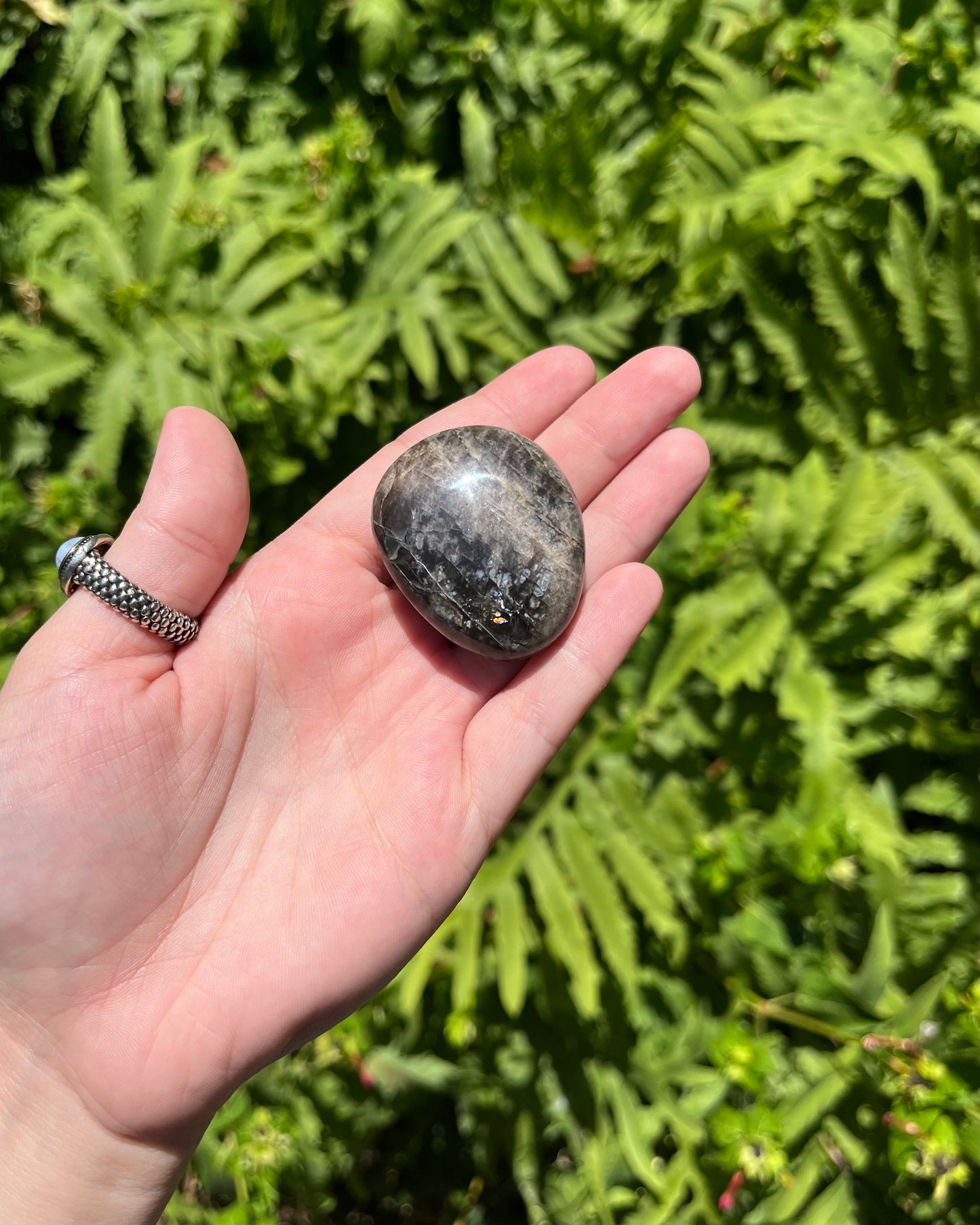 Black Moonstone Palm Stones