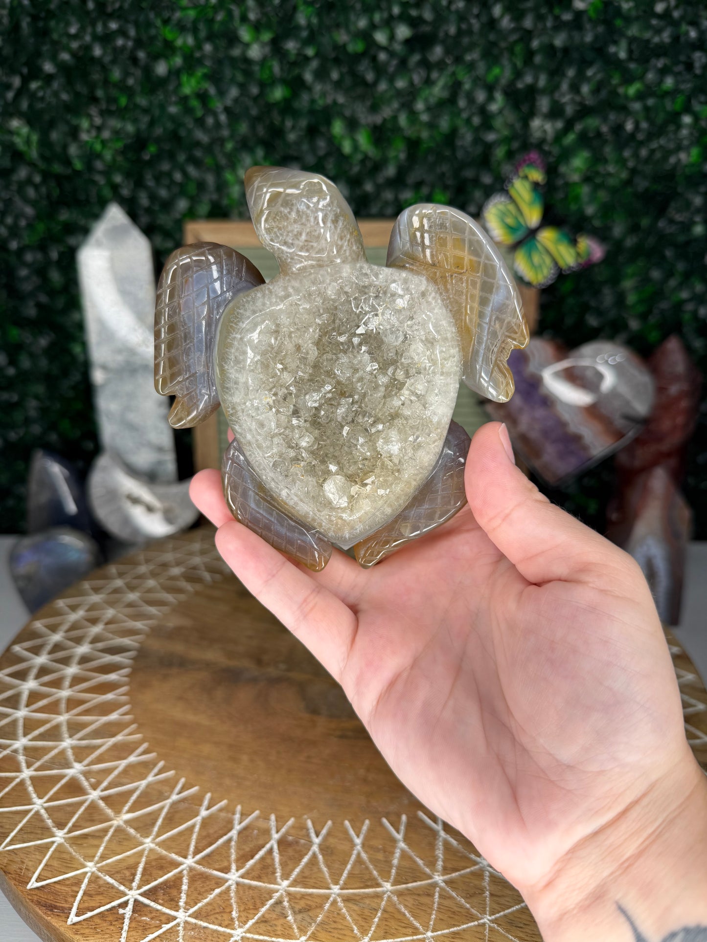 Druzy Agate Turtle Carving