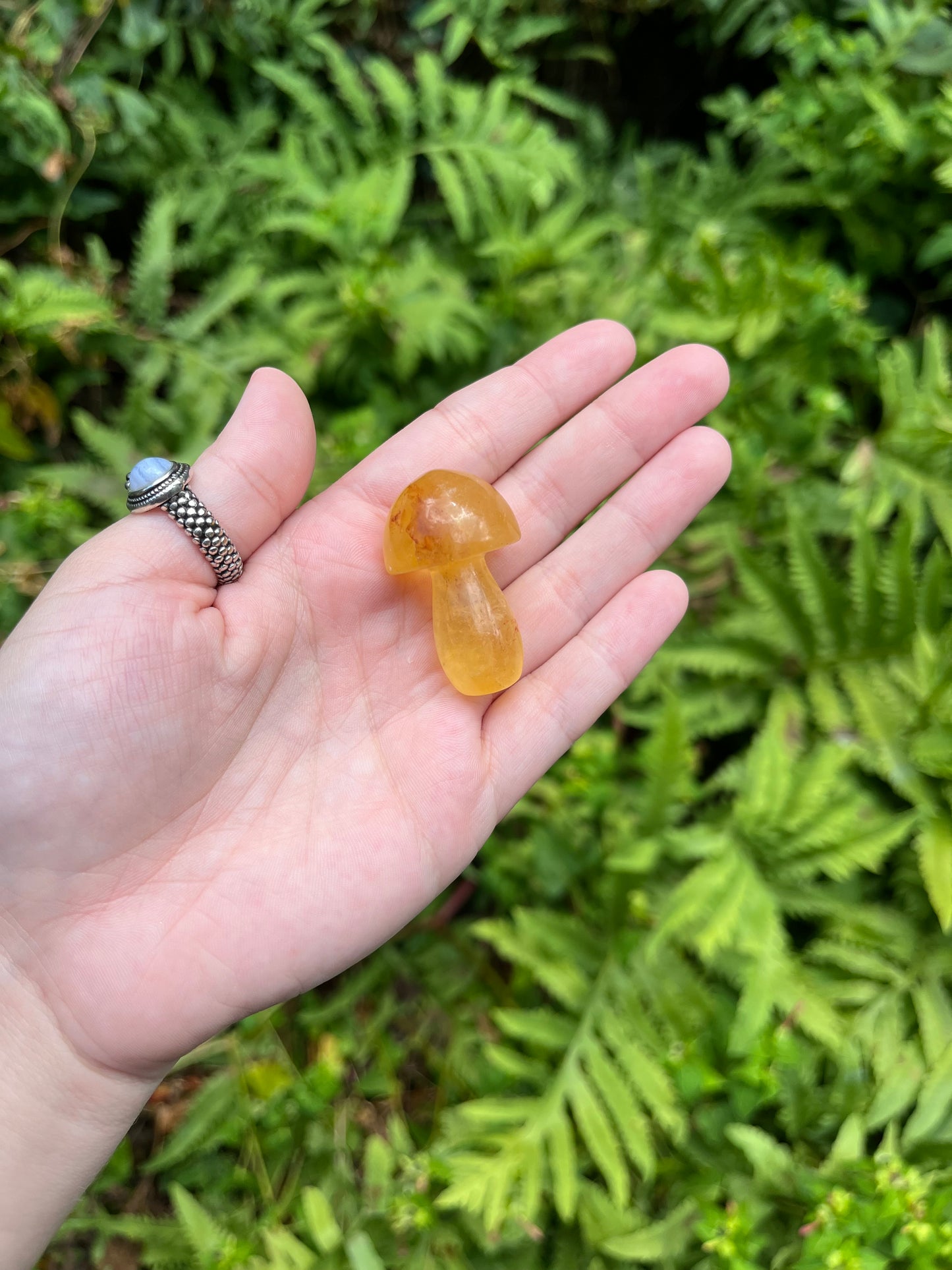 Fluorite Mushrooms