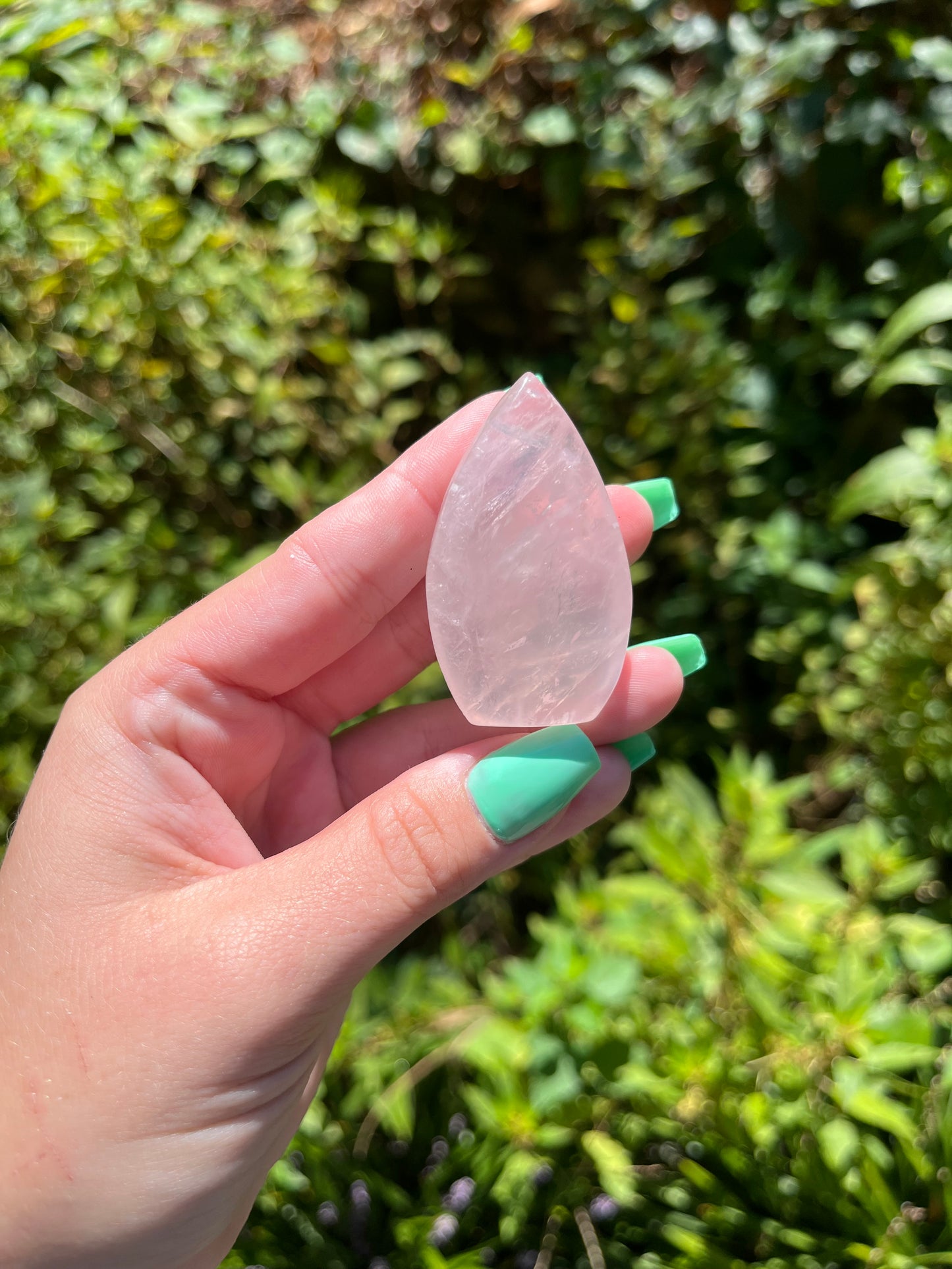 Rose Quartz Teardrops