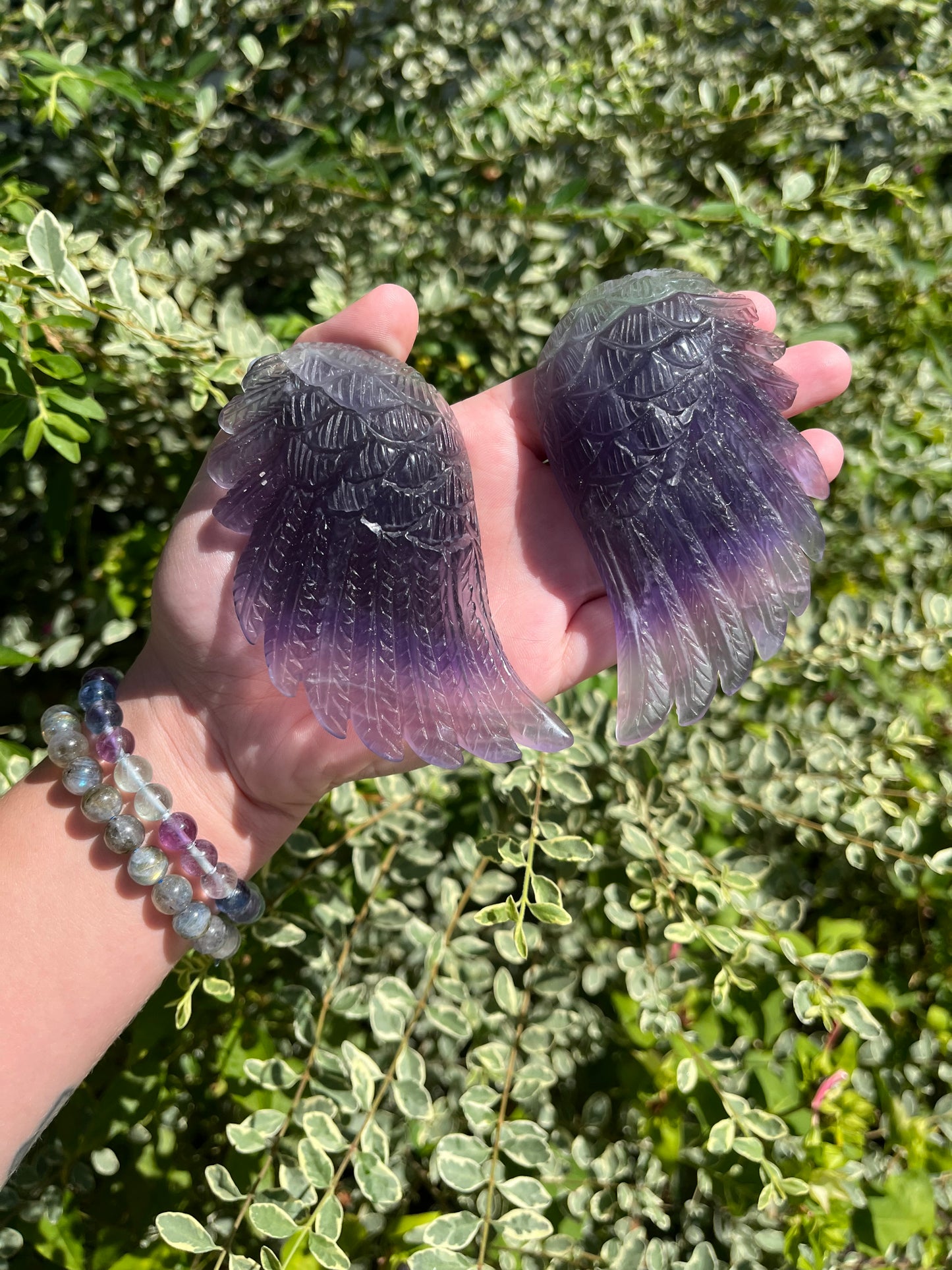 Fluorite Wings