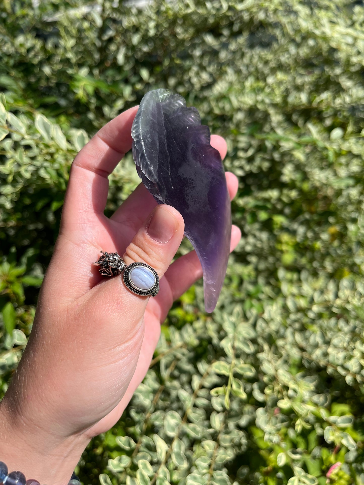 Fluorite Wings