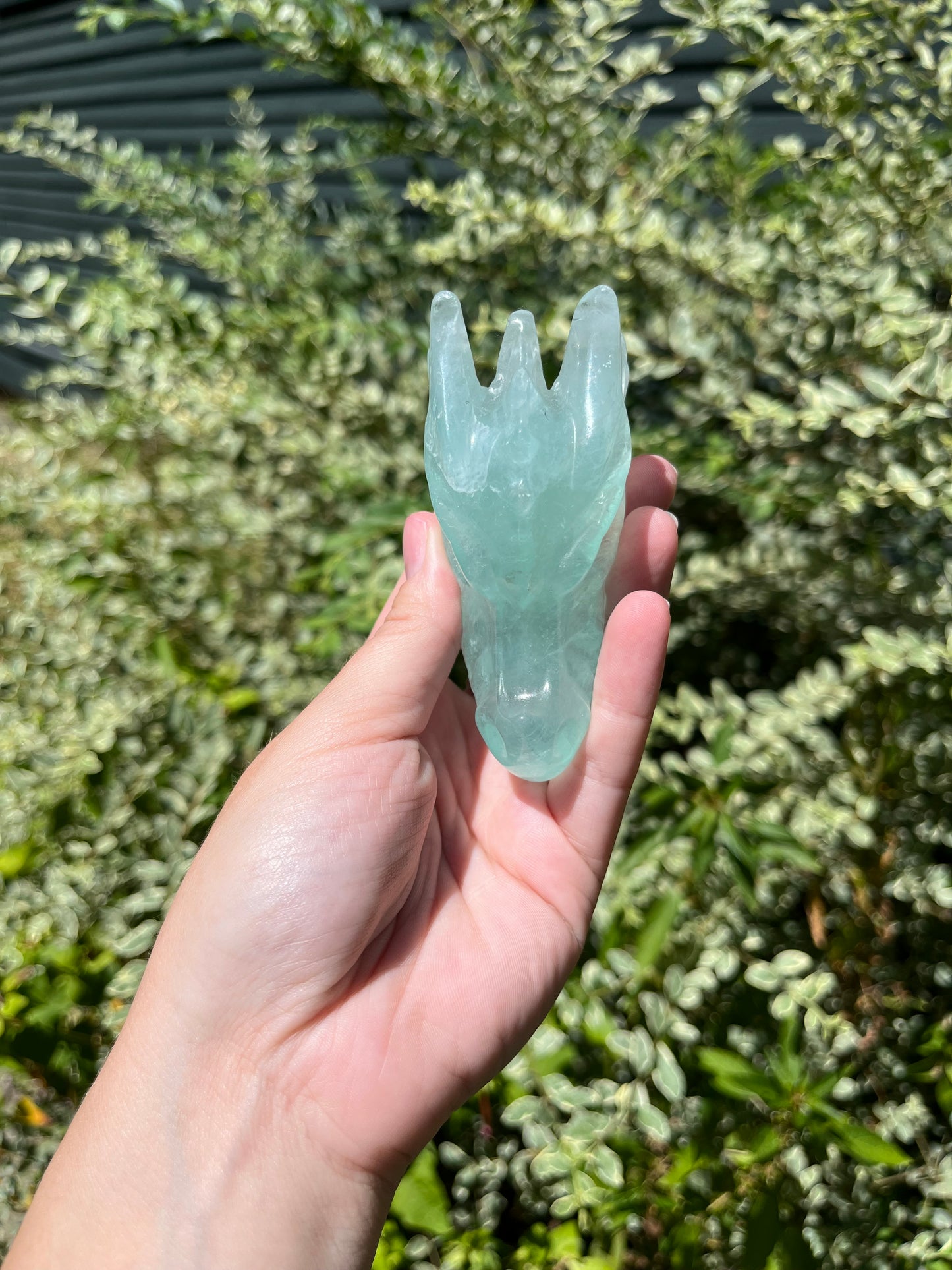 Fluorite Dragon Head