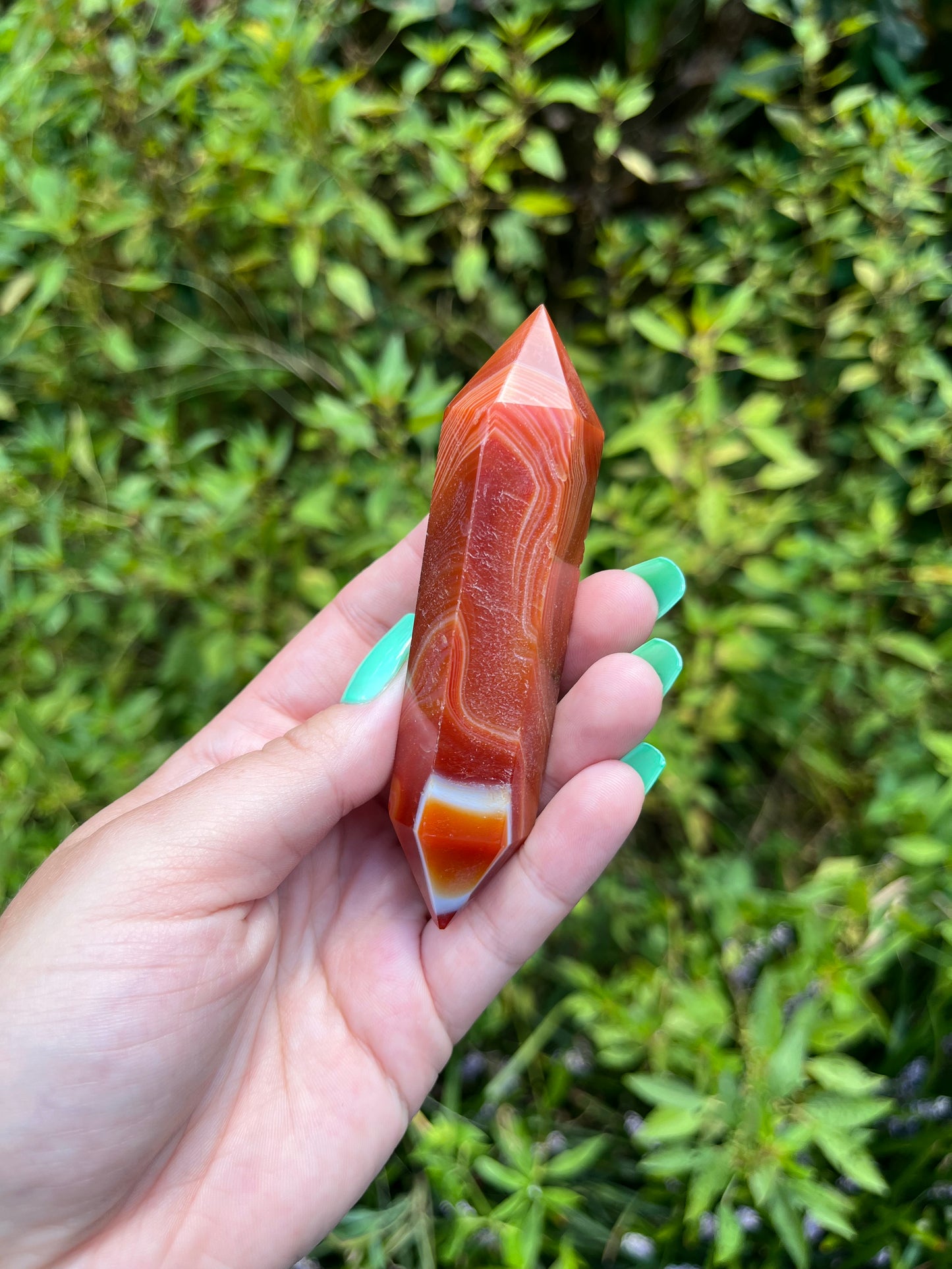 Carnelian DTs