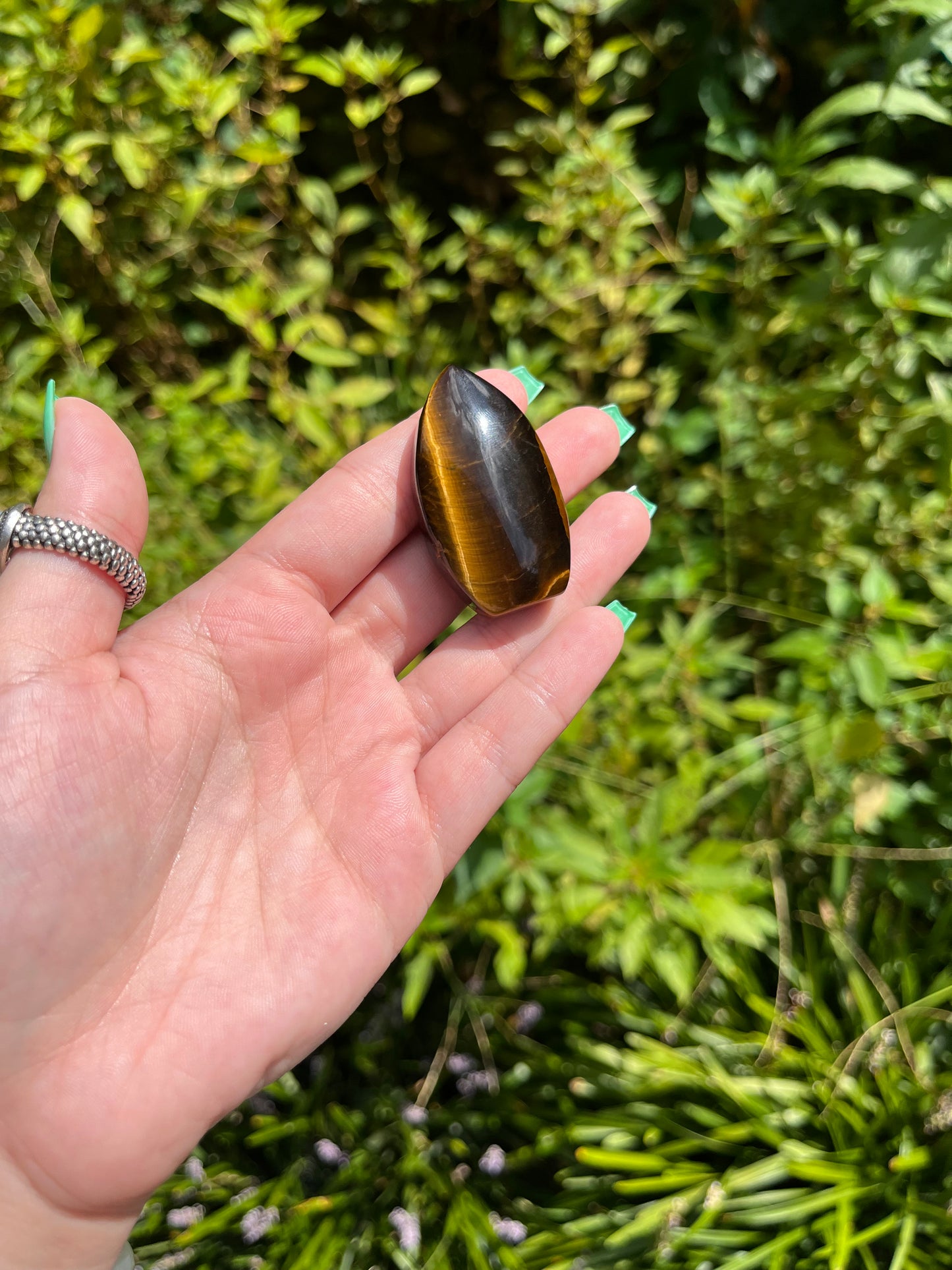 Tiger’s Eye Teardrops