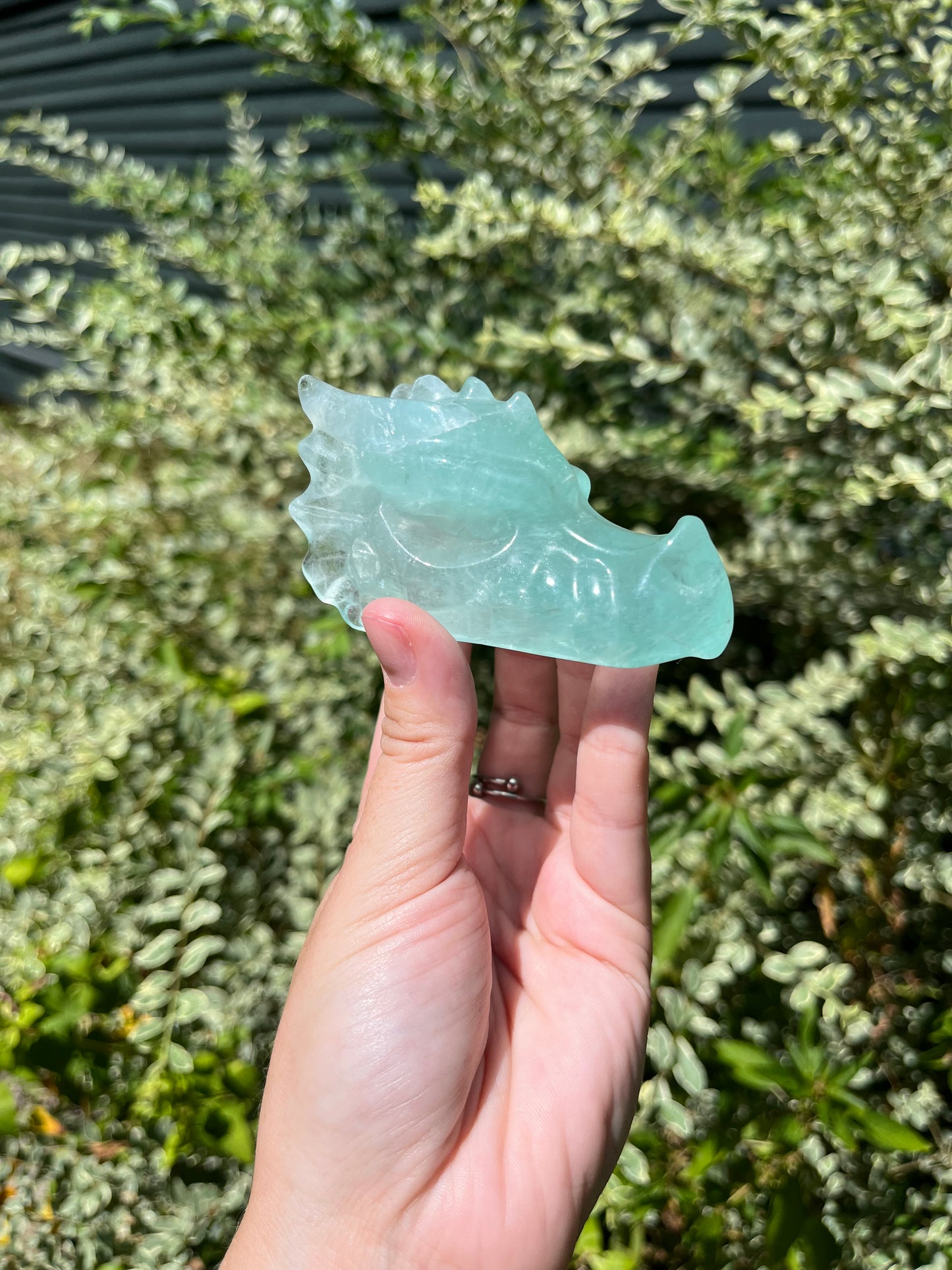 Fluorite Dragon Head