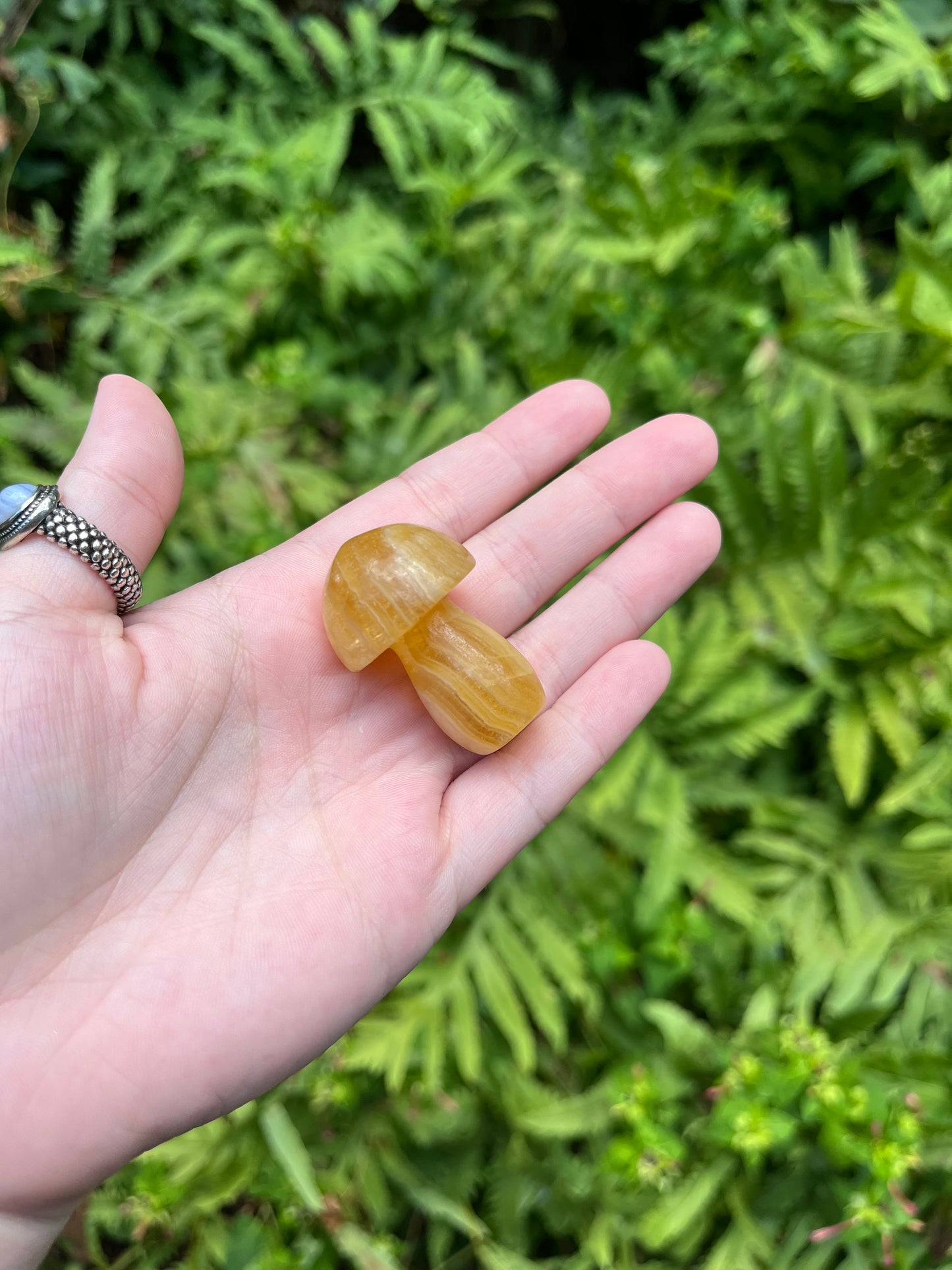 Fluorite Mushrooms