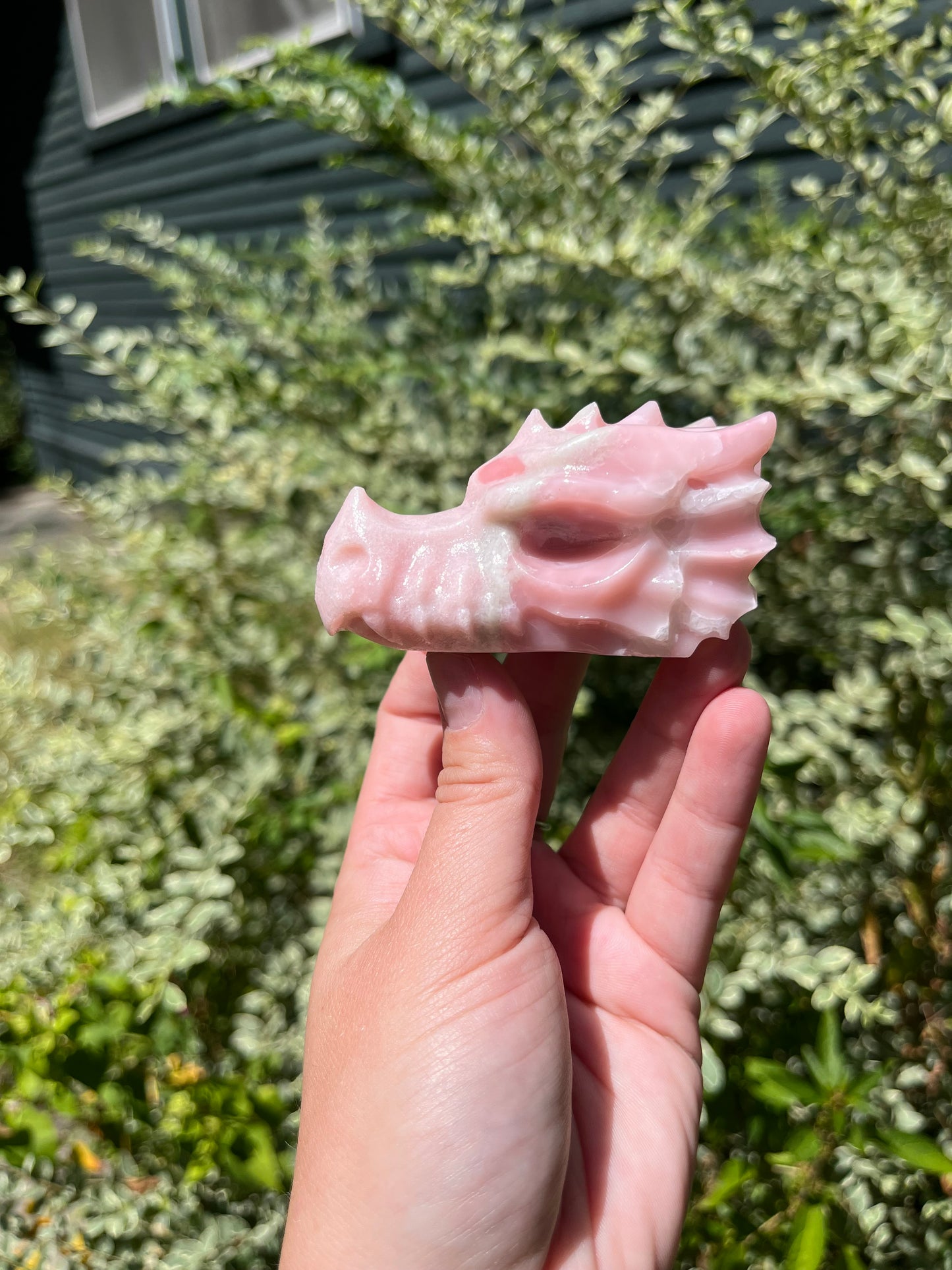 Pink Opal Dragon Head