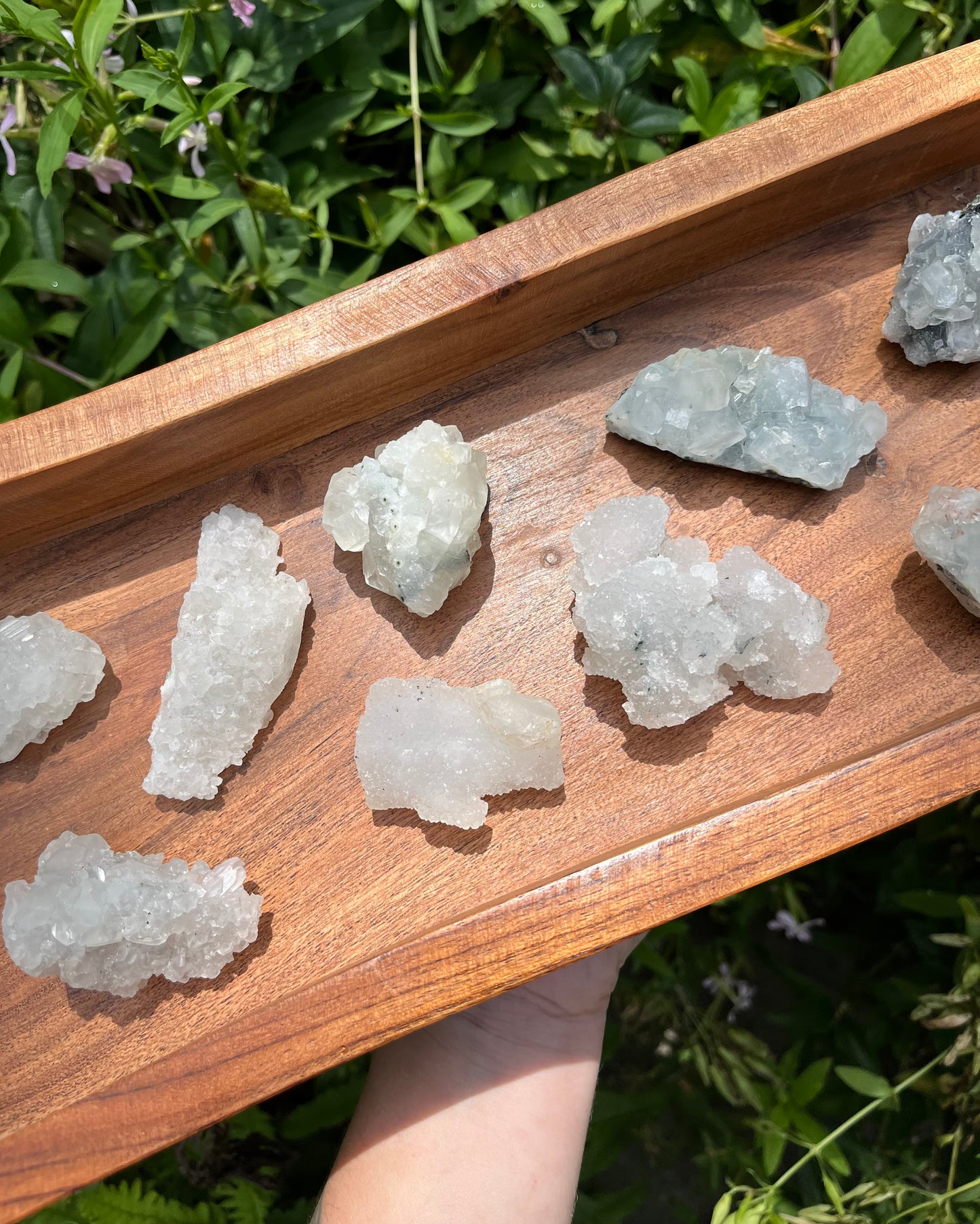 Apophyllite Clusters