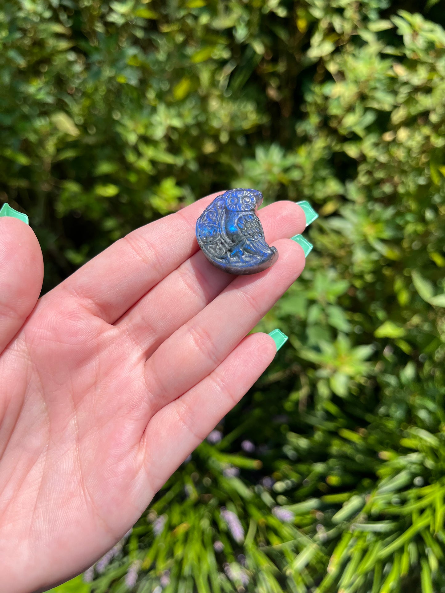 Labradorite Owl Carvings