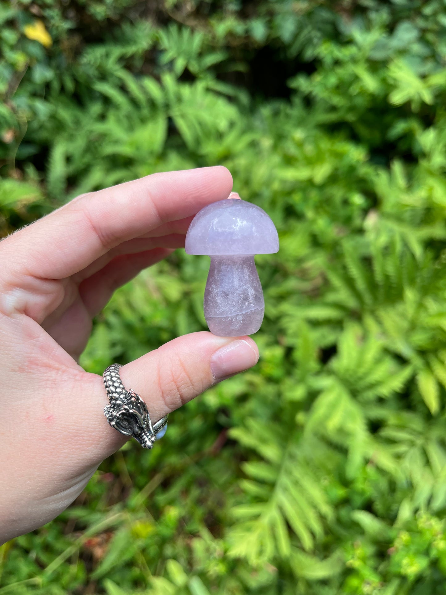 Fluorite Mushrooms