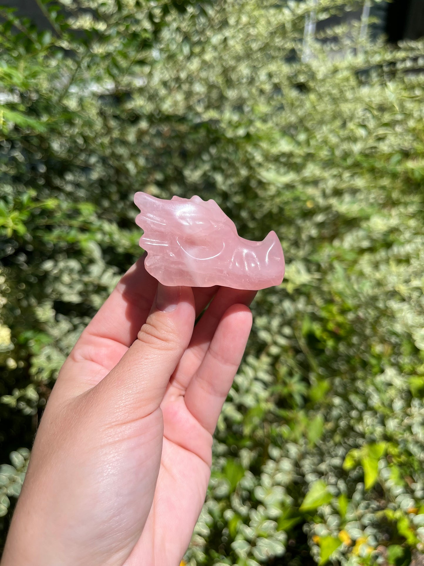 Rose Quartz Dragon Heads