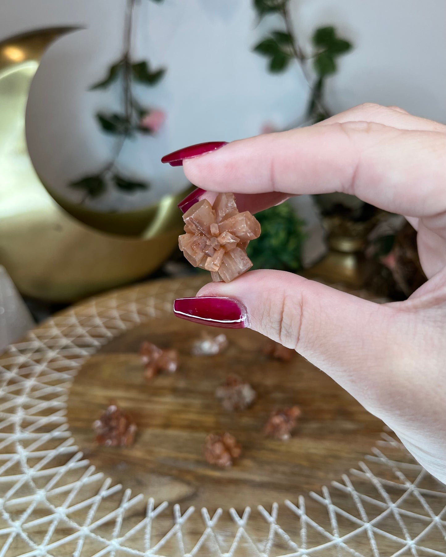 Mini Aragonite Clusters