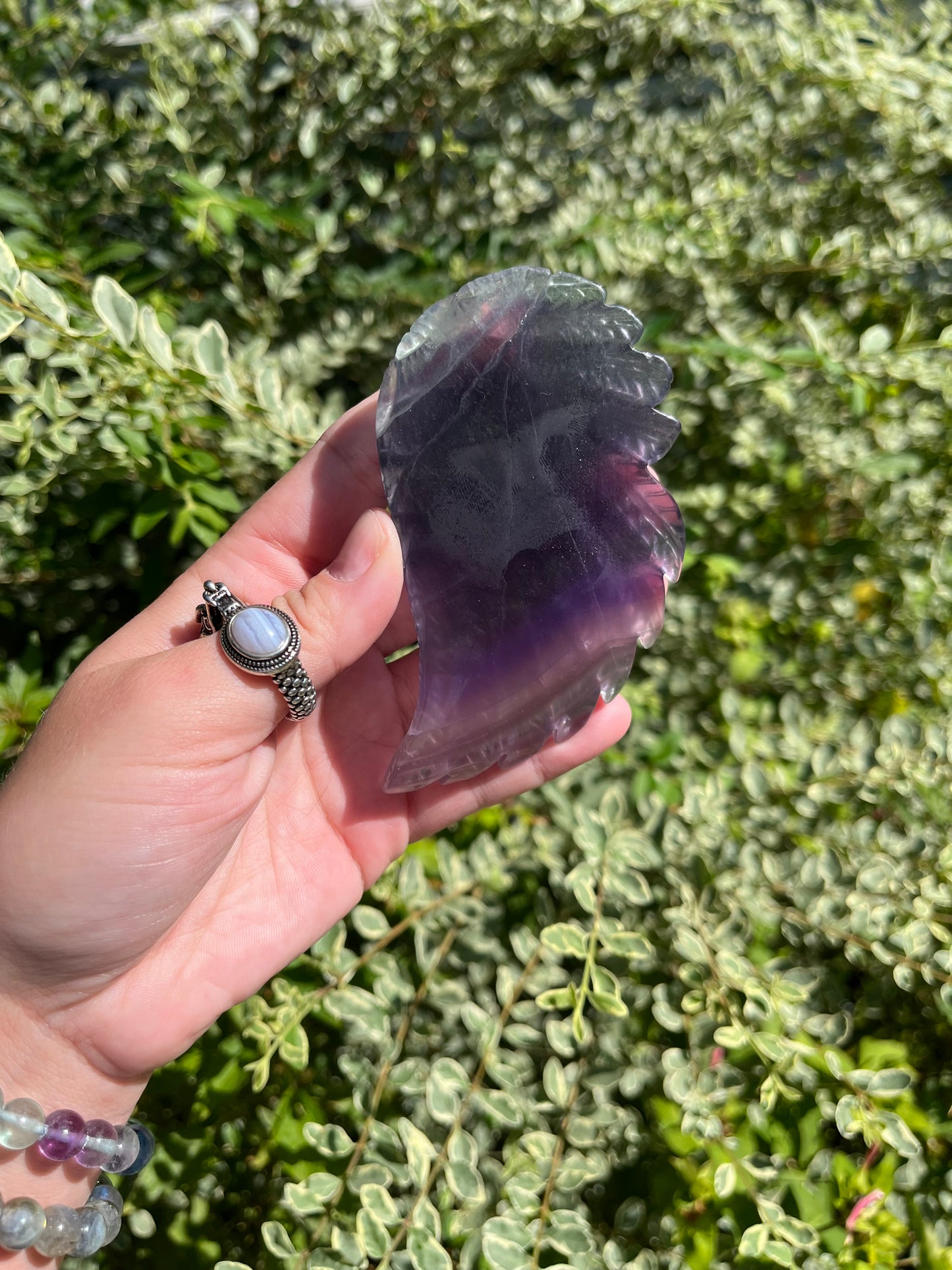 Fluorite Wings