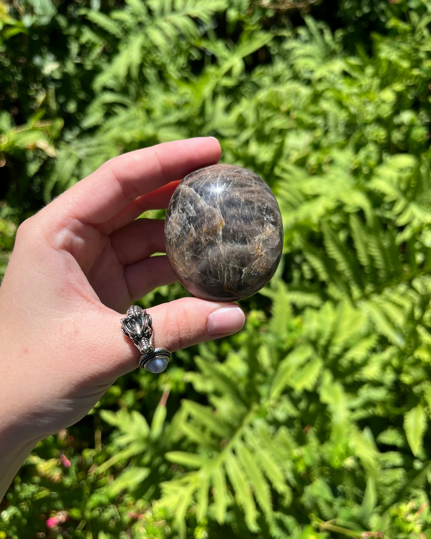 Black Moonstone Palm Stones