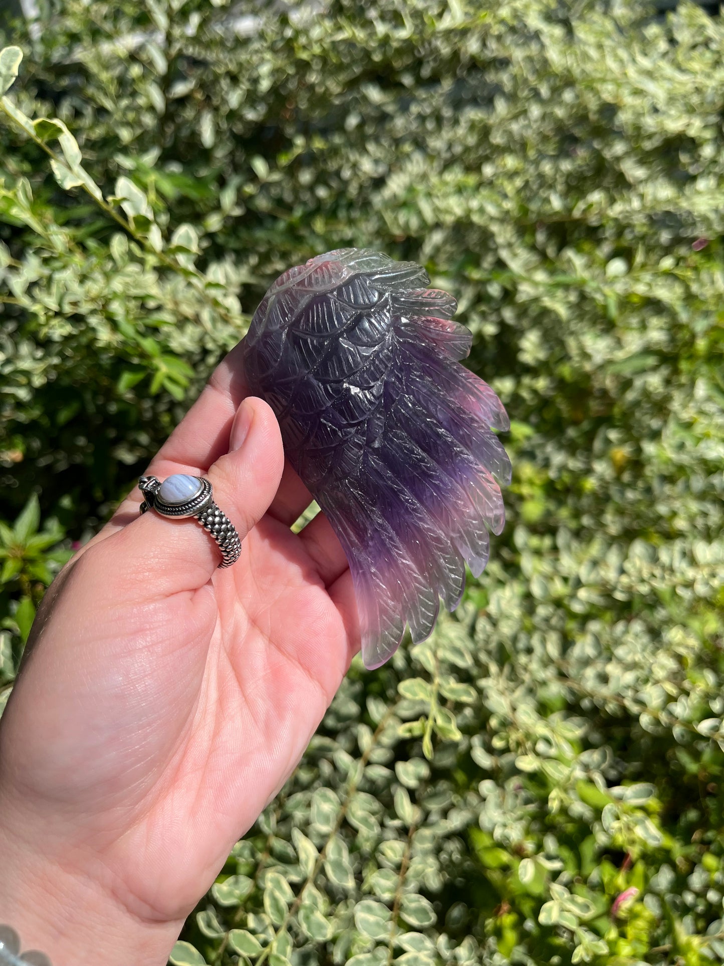 Fluorite Wings