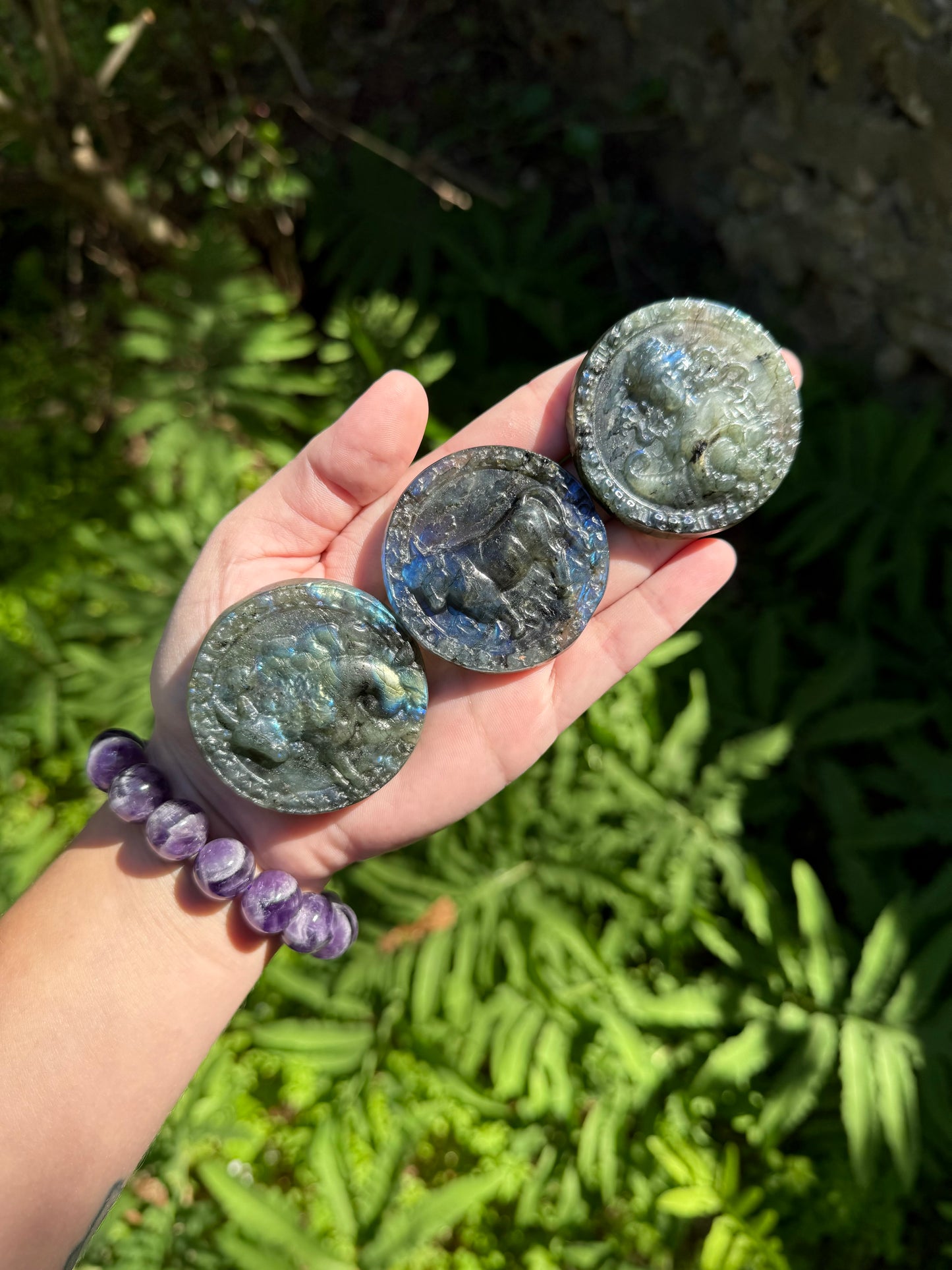 Labradorite Zodiac Carvings