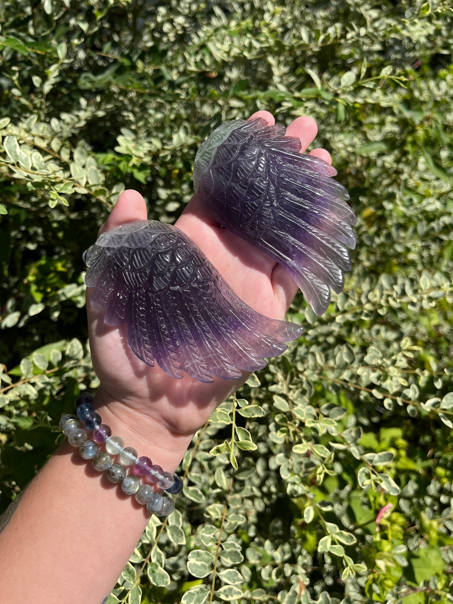 Fluorite Wings