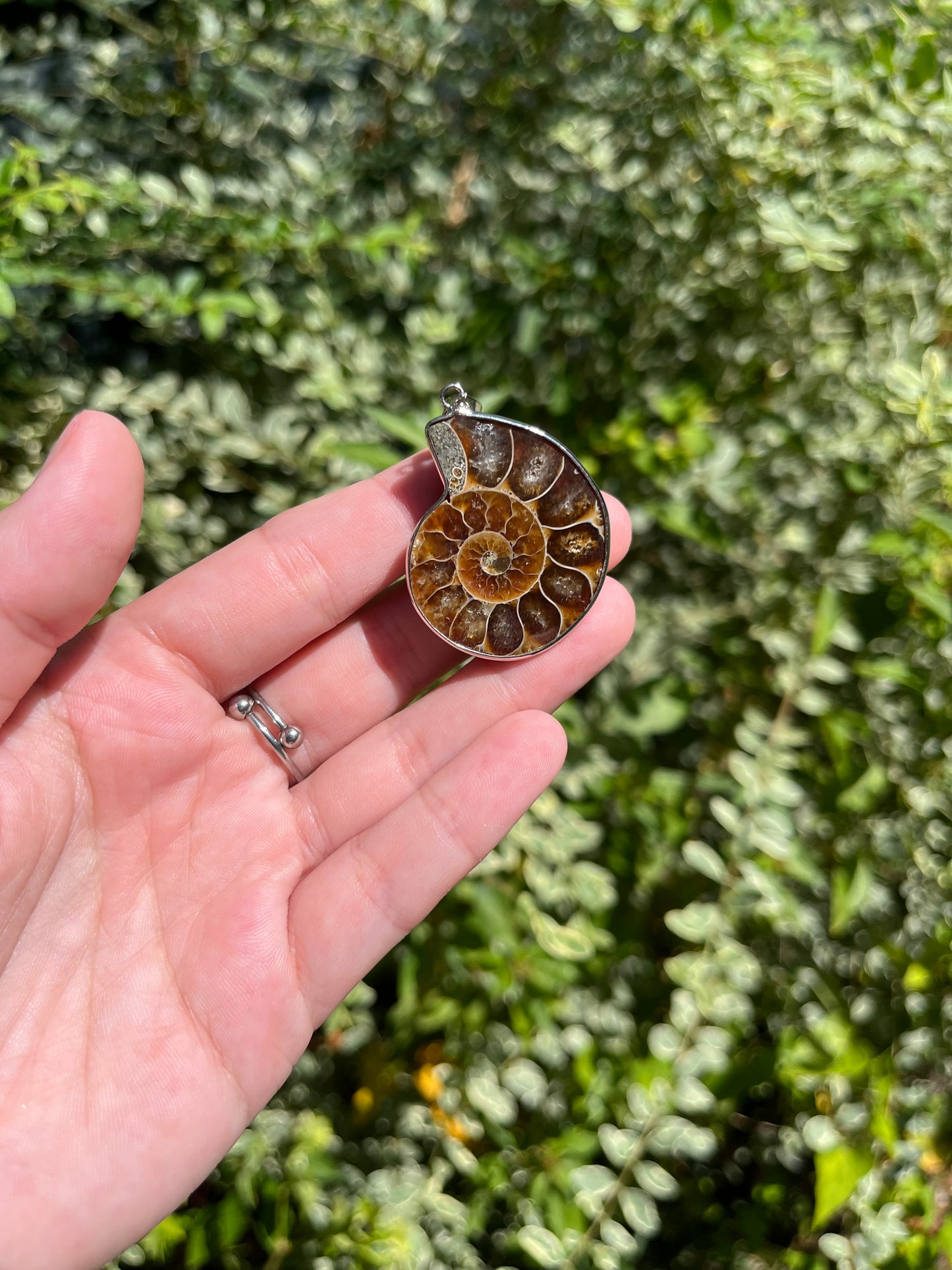 Ammonite Necklaces