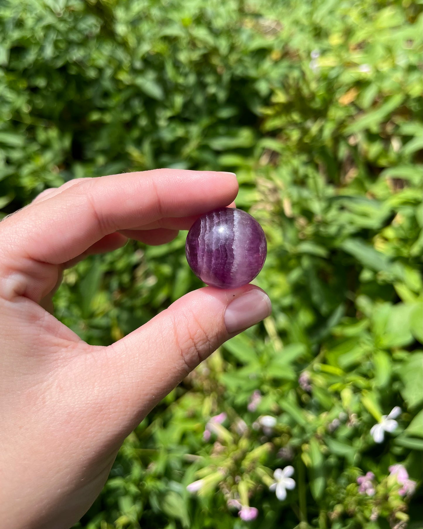 Mini Fluorite Spheres