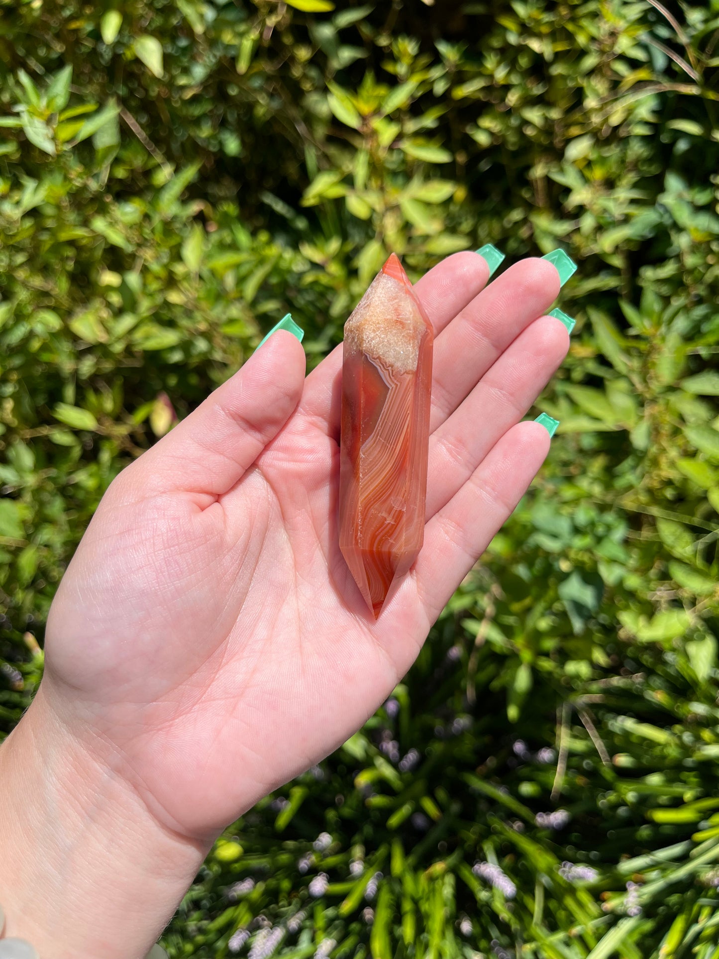 Carnelian DTs