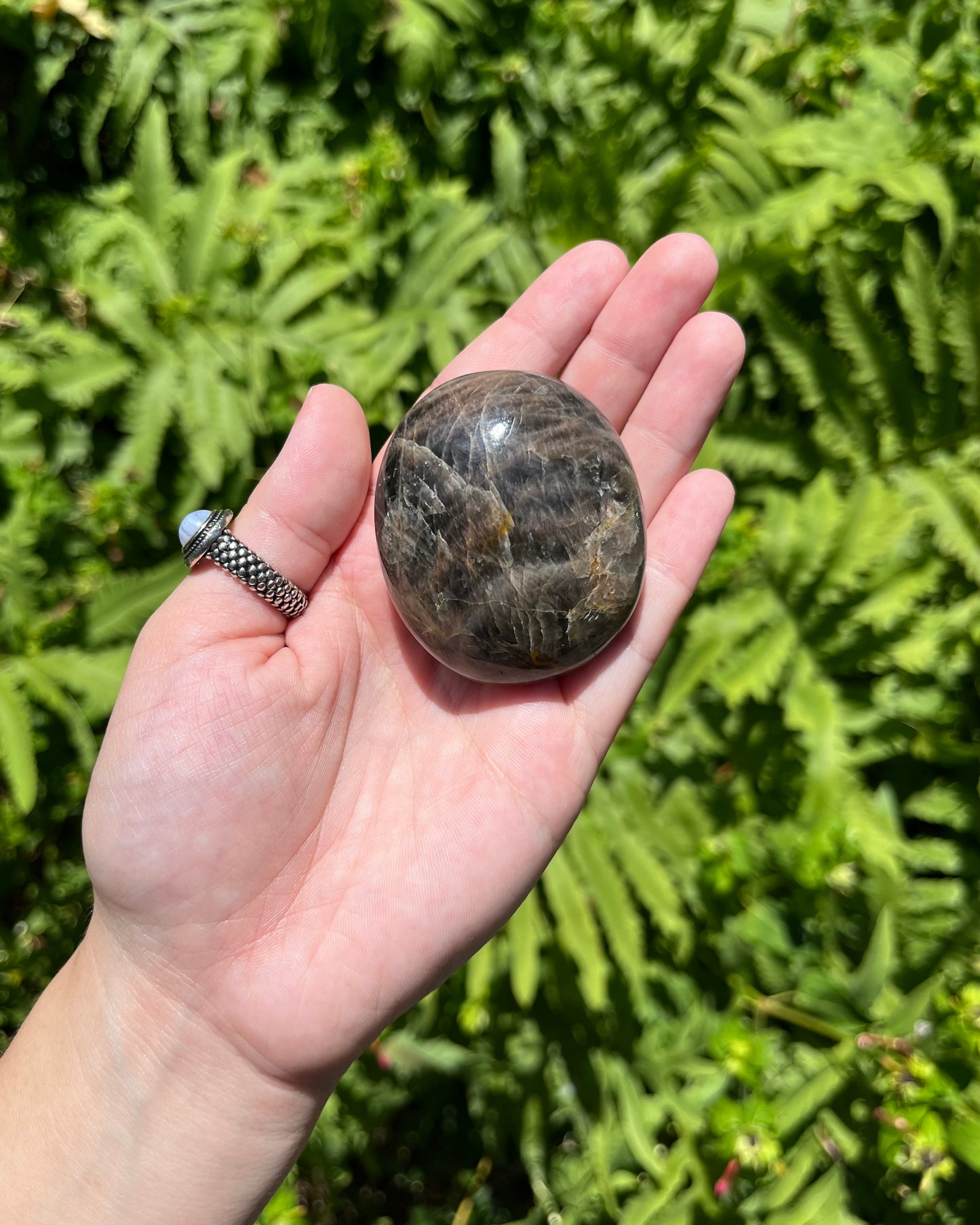 Black Moonstone Palm Stones