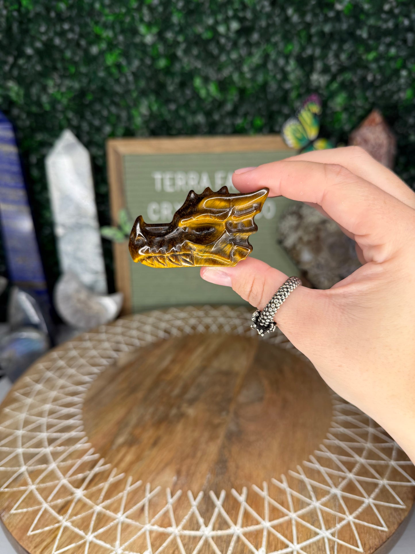 Tiger’s Eye Dragon Head