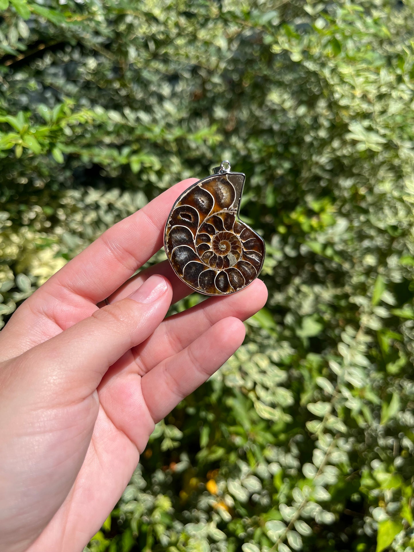 Ammonite Necklaces