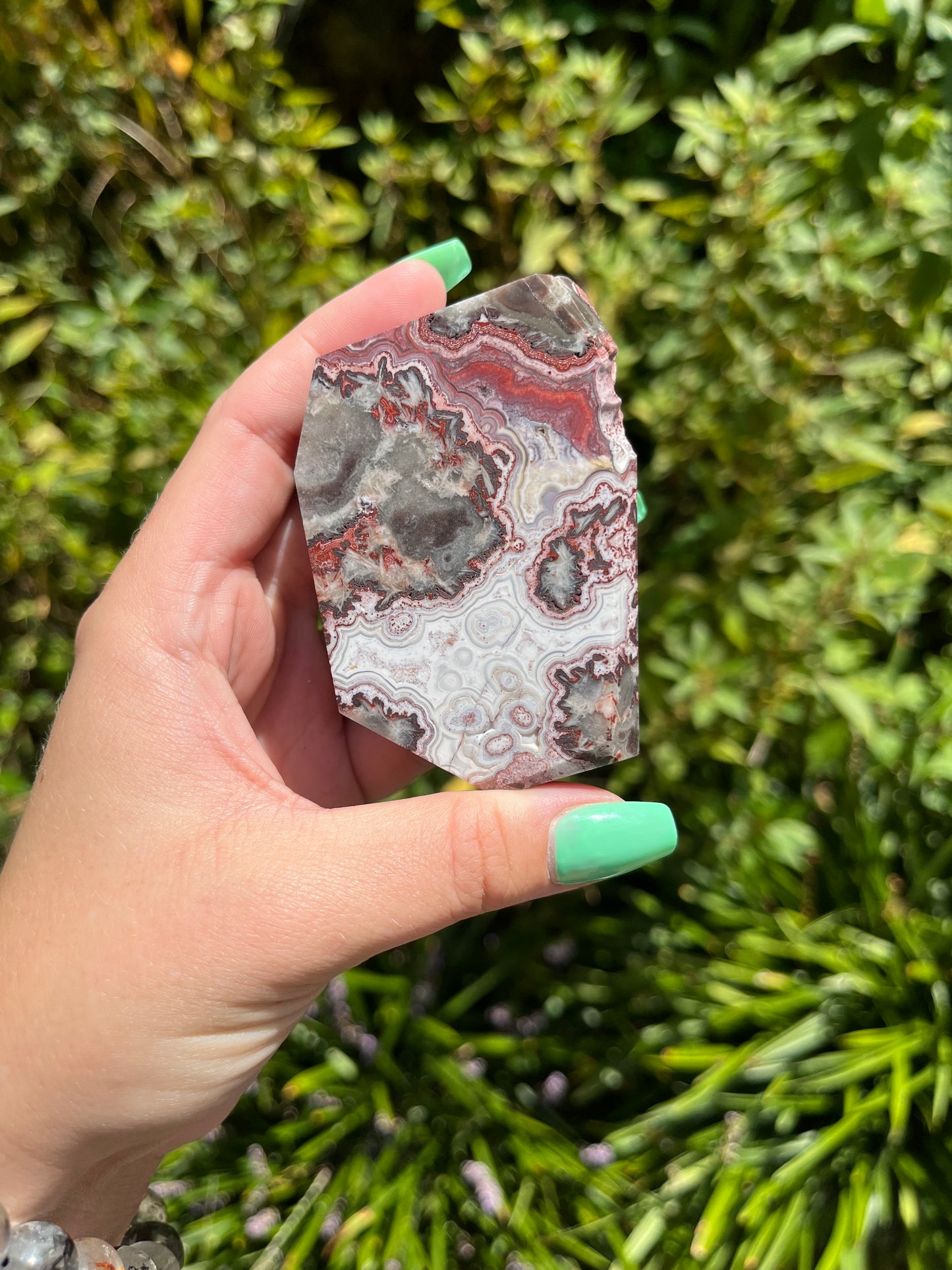 Mexican Crazy Lace Agate Freeforms