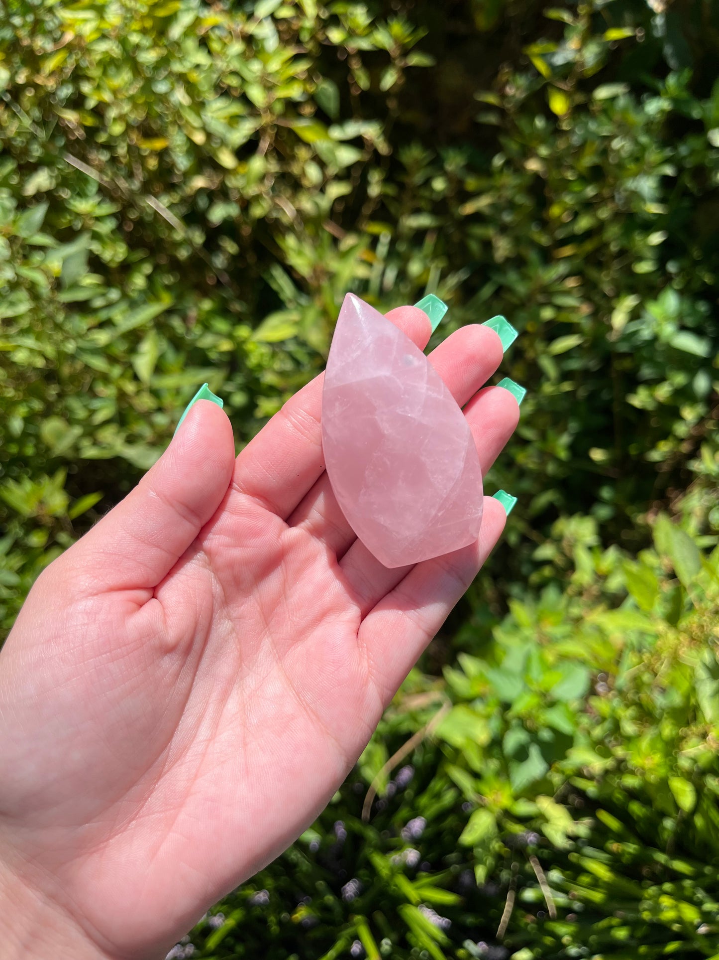 Rose Quartz Teardrops