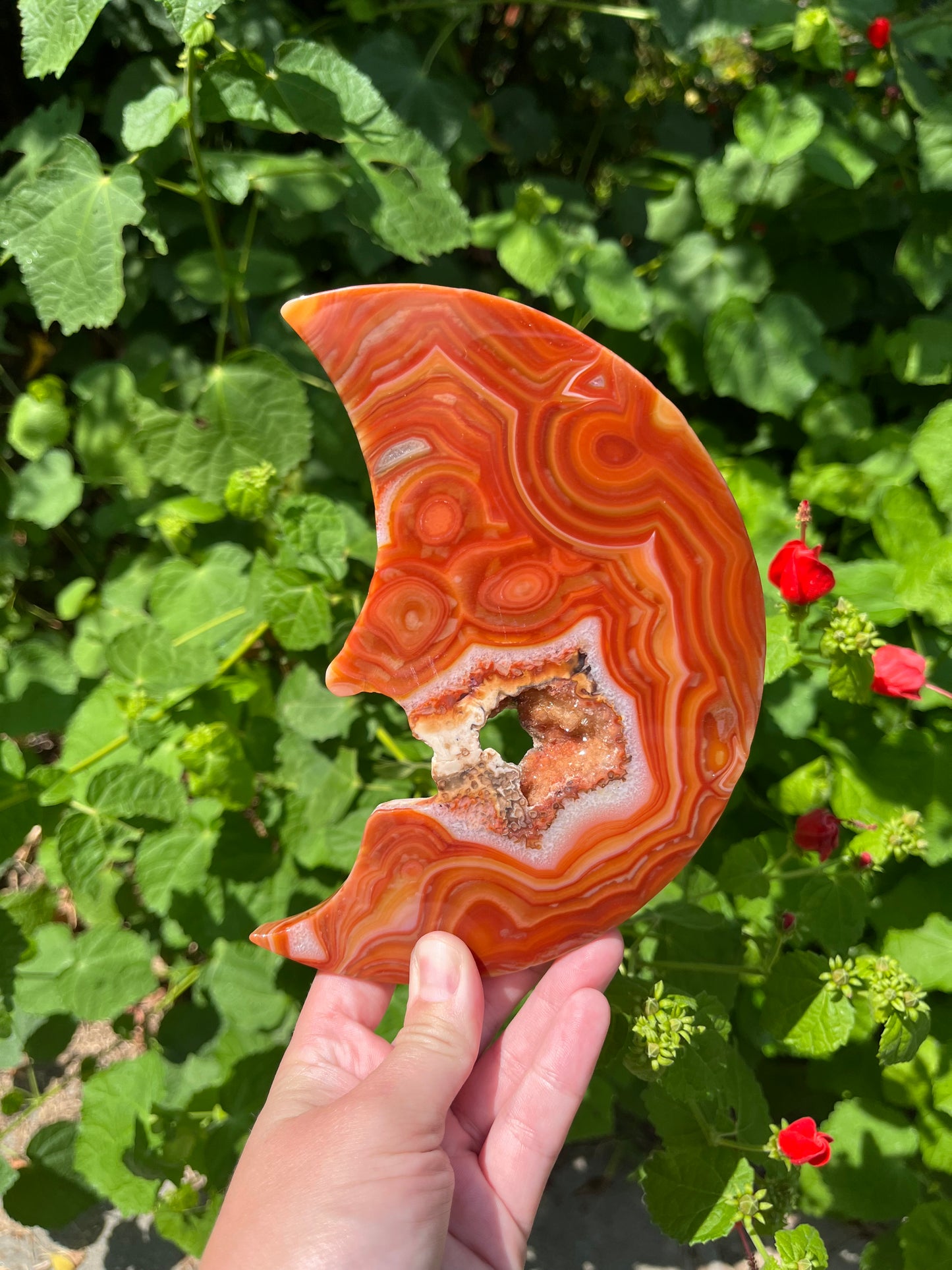 Carnelian Moon Face