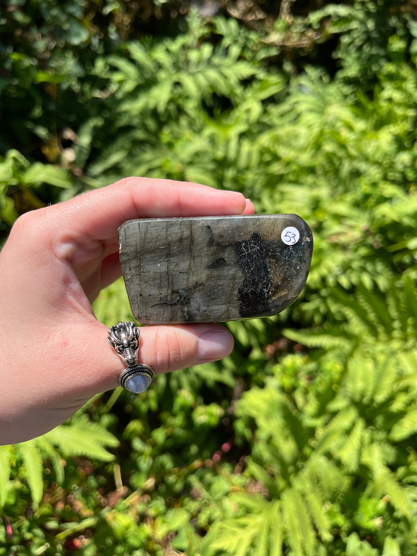 Labradorite Freeforms