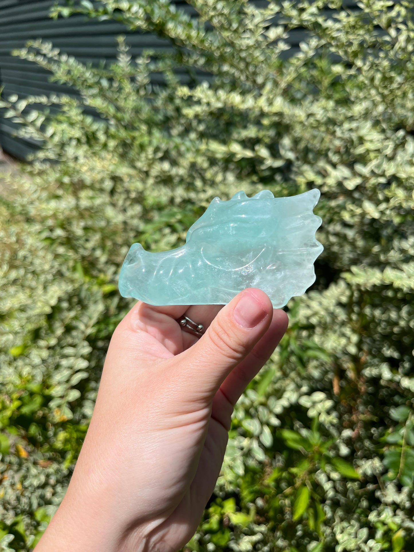 Fluorite Dragon Head