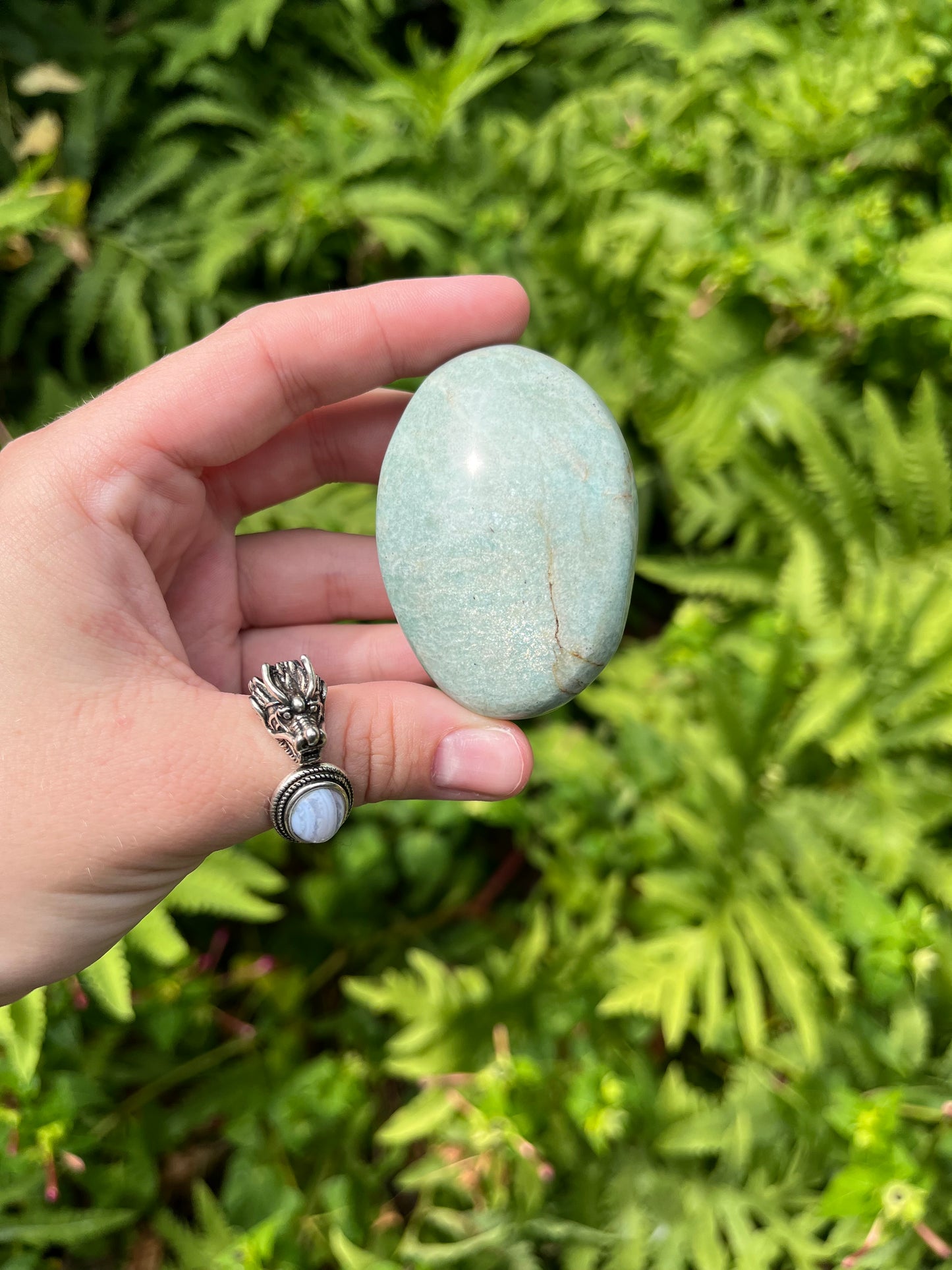 Amazonite Palm Stones