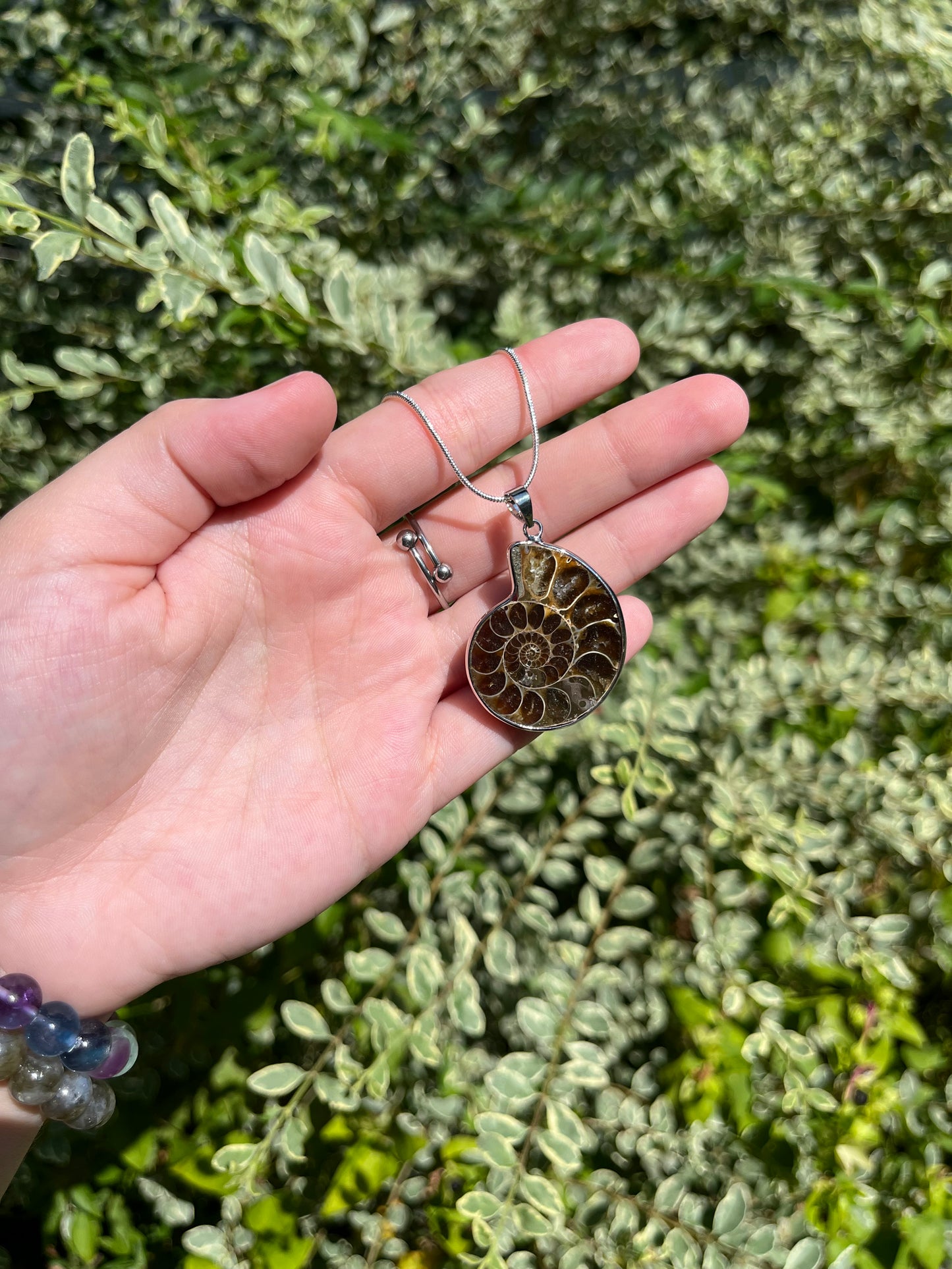 Ammonite Necklaces