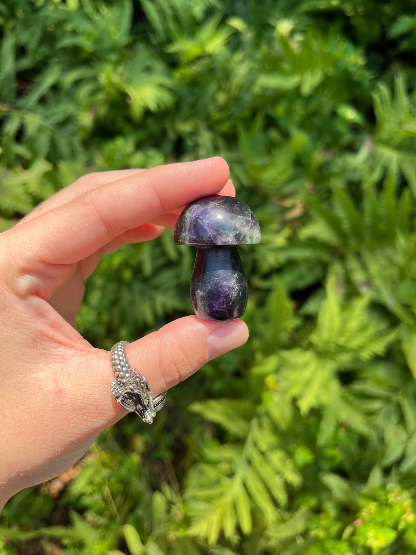 Fluorite Mushrooms