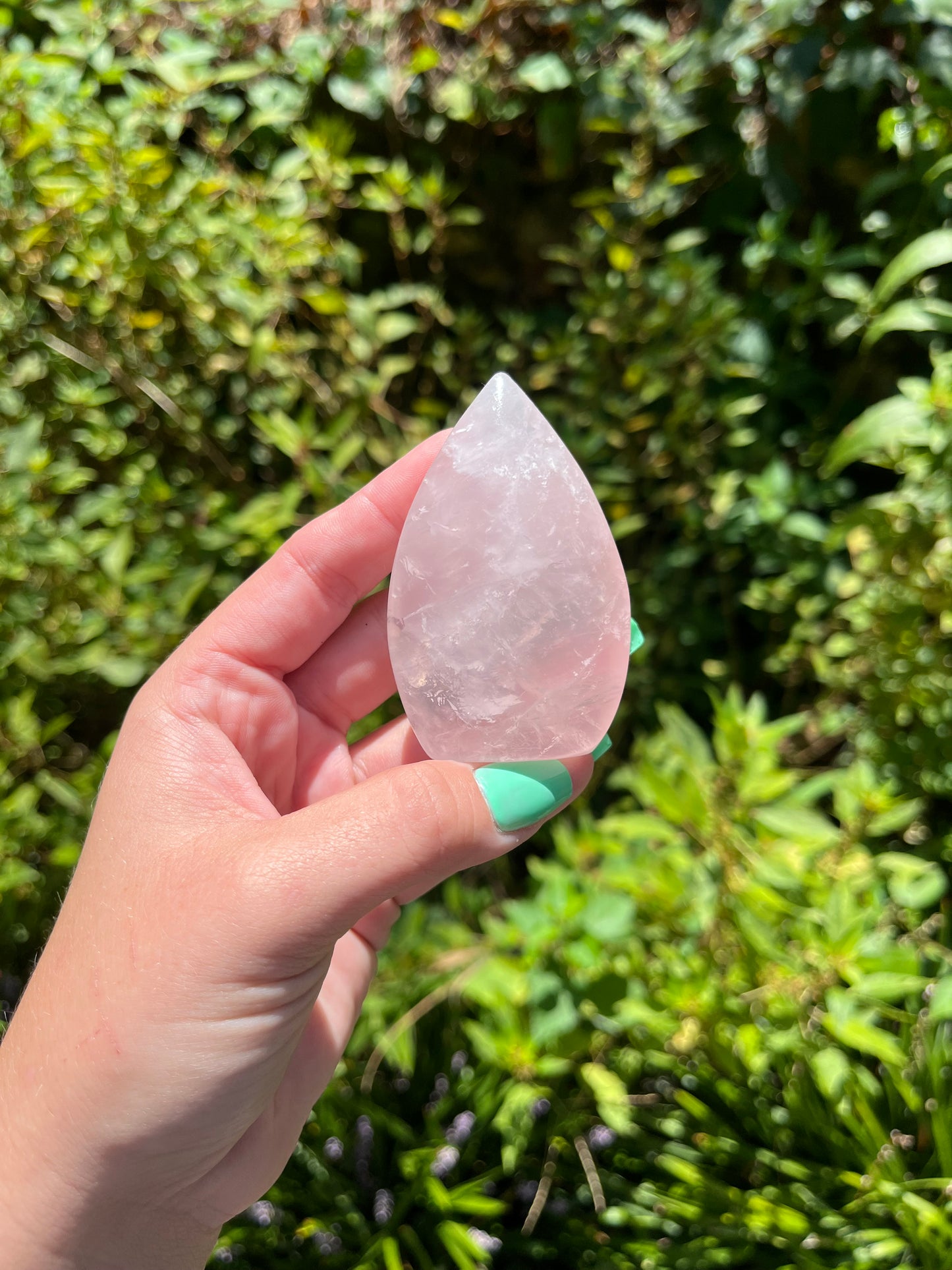 Rose Quartz Teardrops