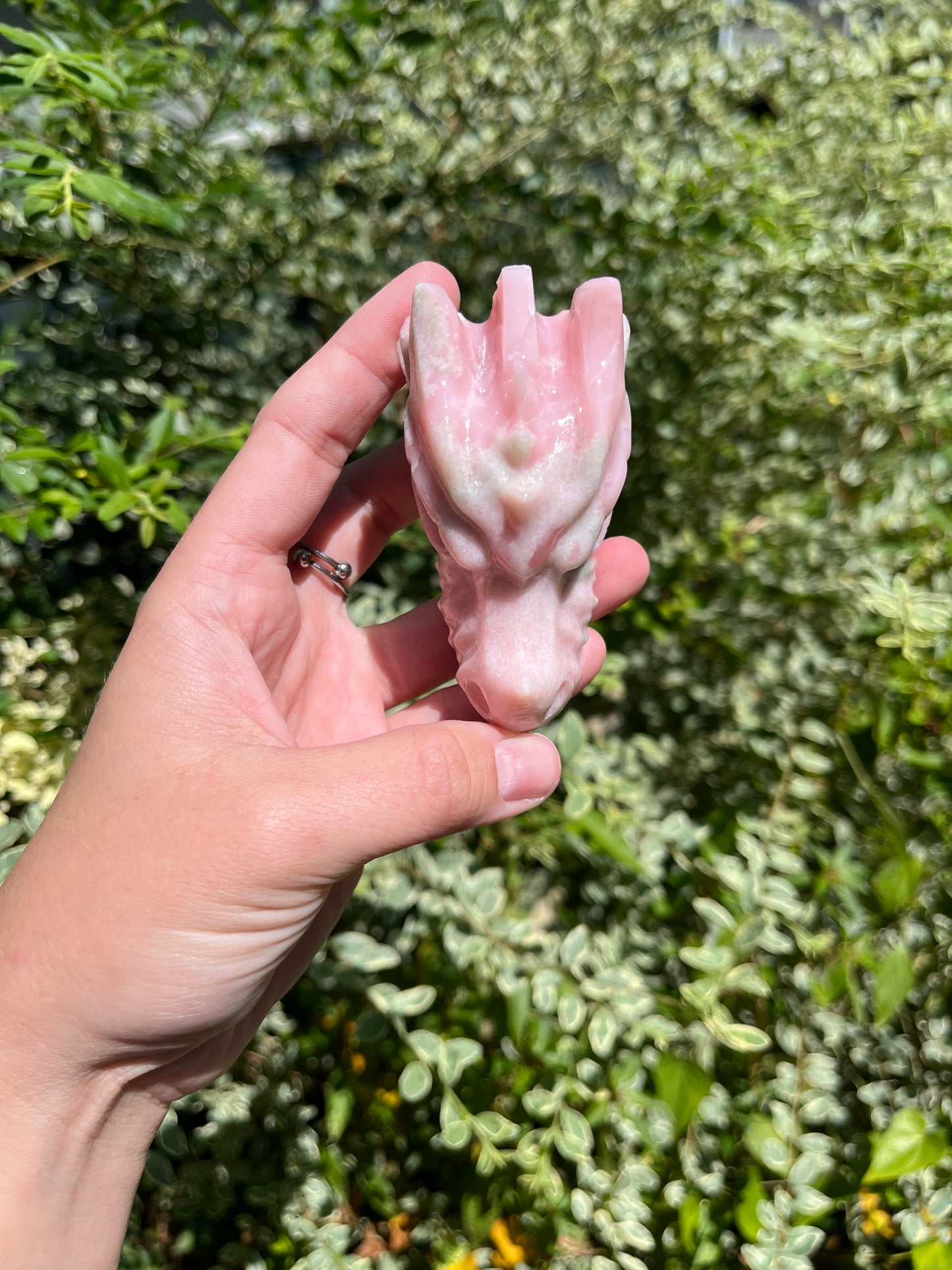 Pink Opal Dragon Head