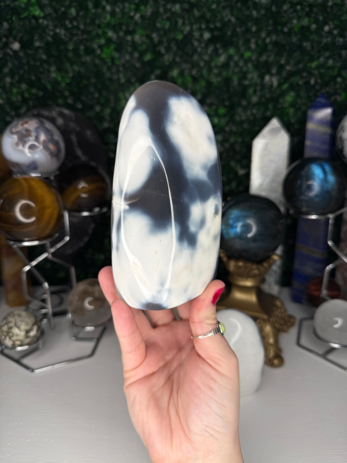 Orca Agate Freeforms