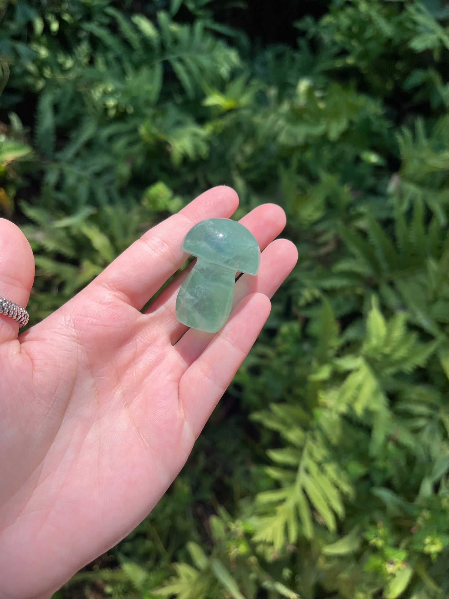 Fluorite Mushrooms